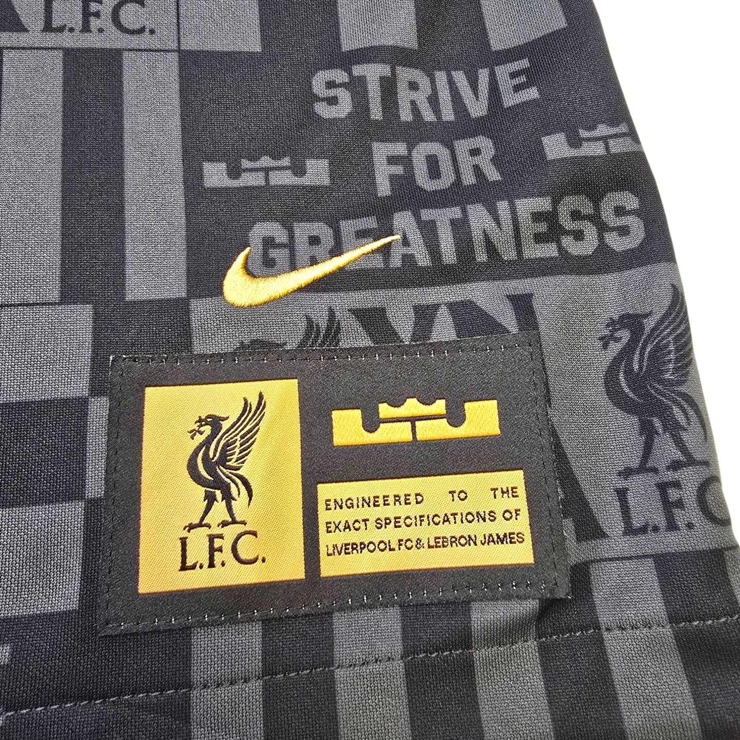2024/25 Liverpool Training Top (S) Nike X LeBron James