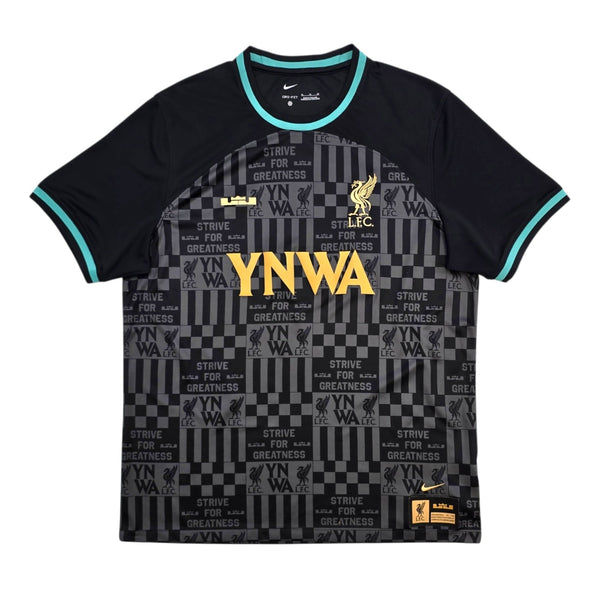 2024/25 Liverpool Training Top (XL) Nike X LeBron