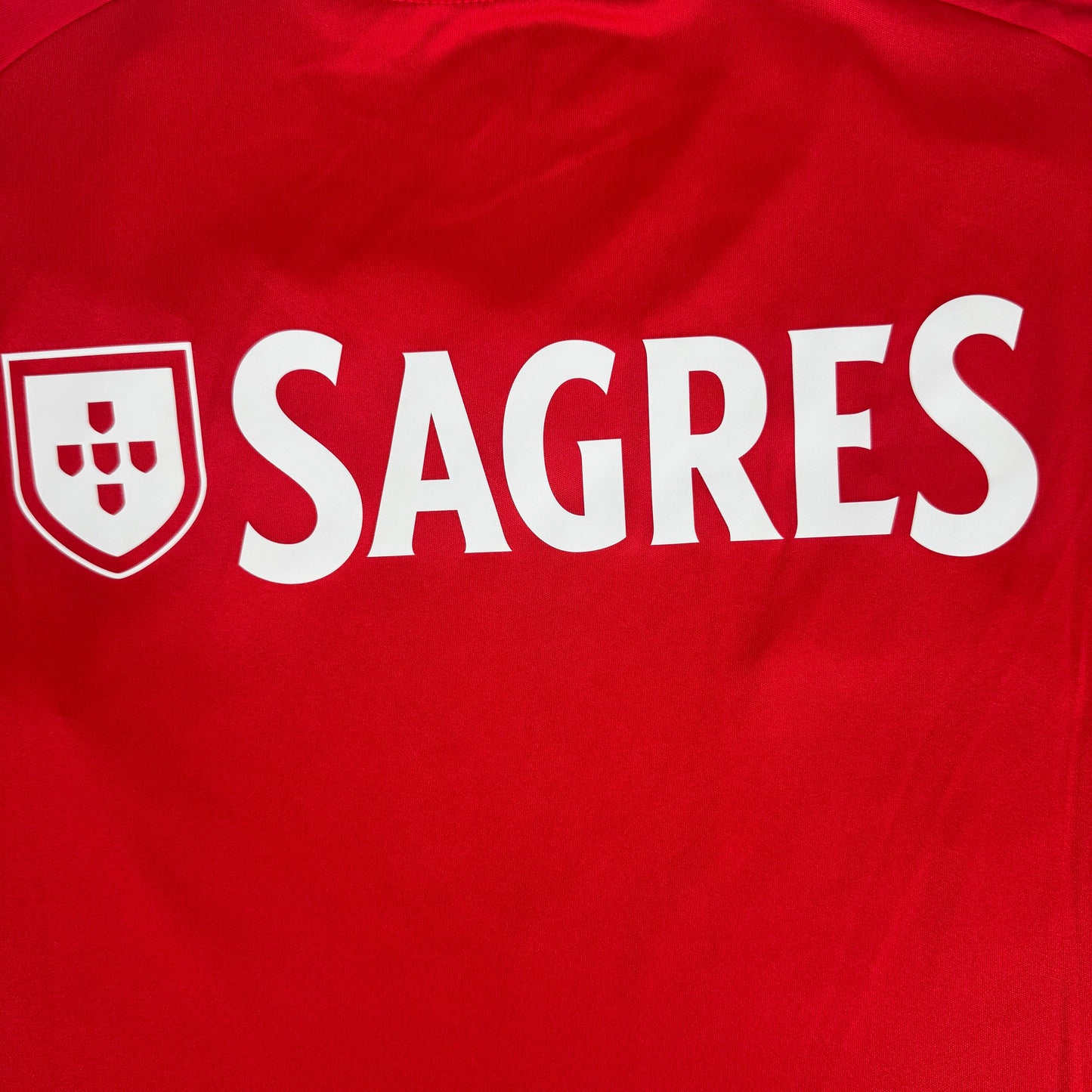 Benfica 2024/2025 Home Football Shirt Large BNWT