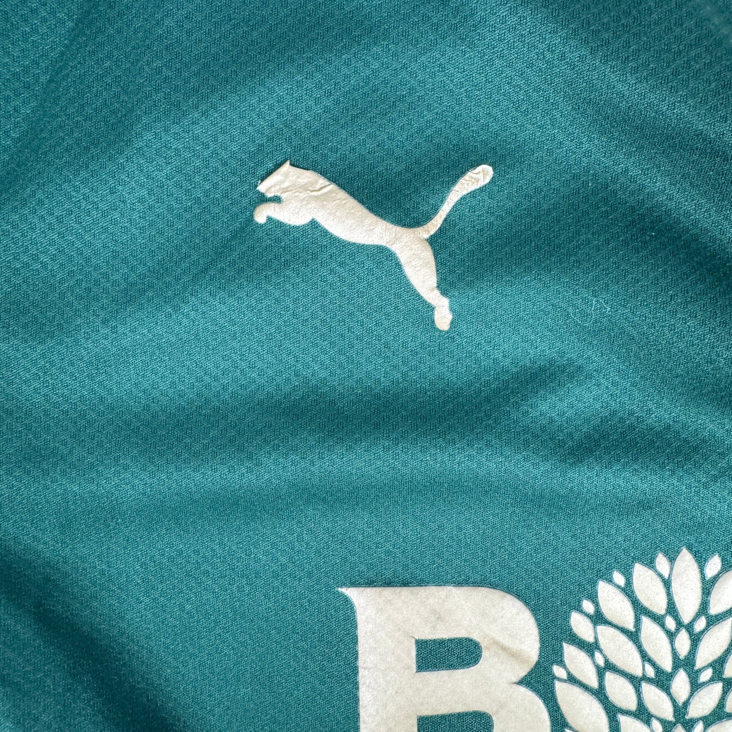 Plymouth Argyle 2023/2024 Home Football Shirt 2XL