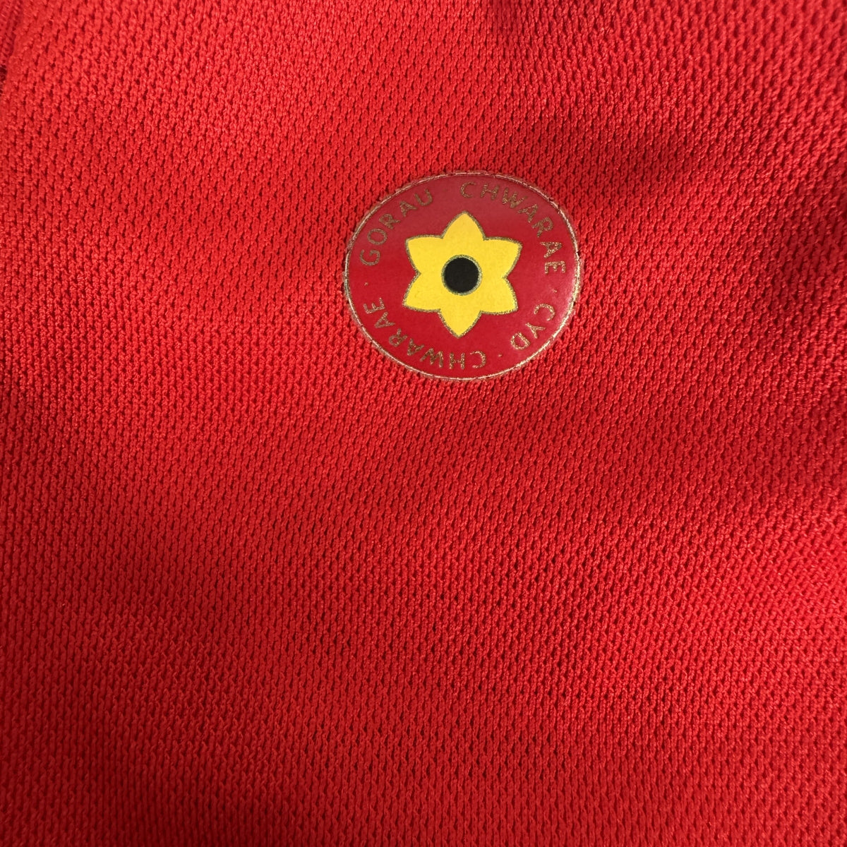 Wales 2022/2023/2024 Home Football Shirt 3XL