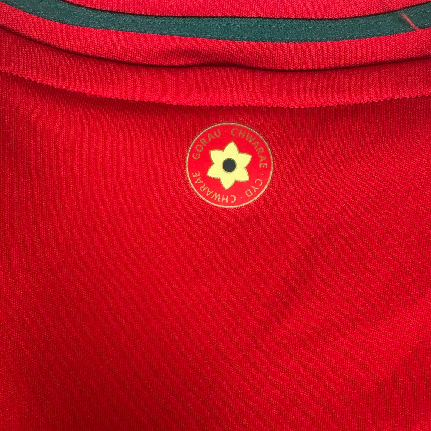 Wales 2024/2025/2026 Home Football Shirt XL