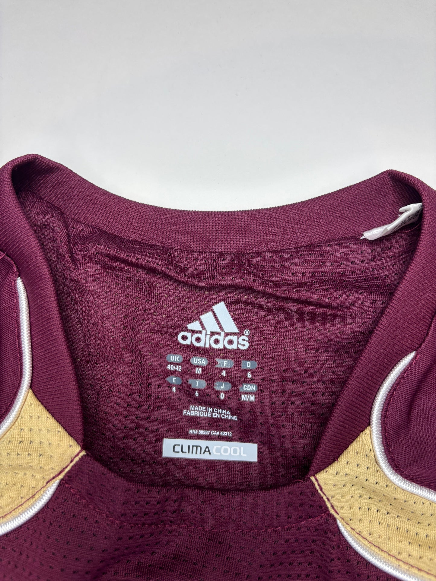 Lyon Training Shirt 2010/11 (L)