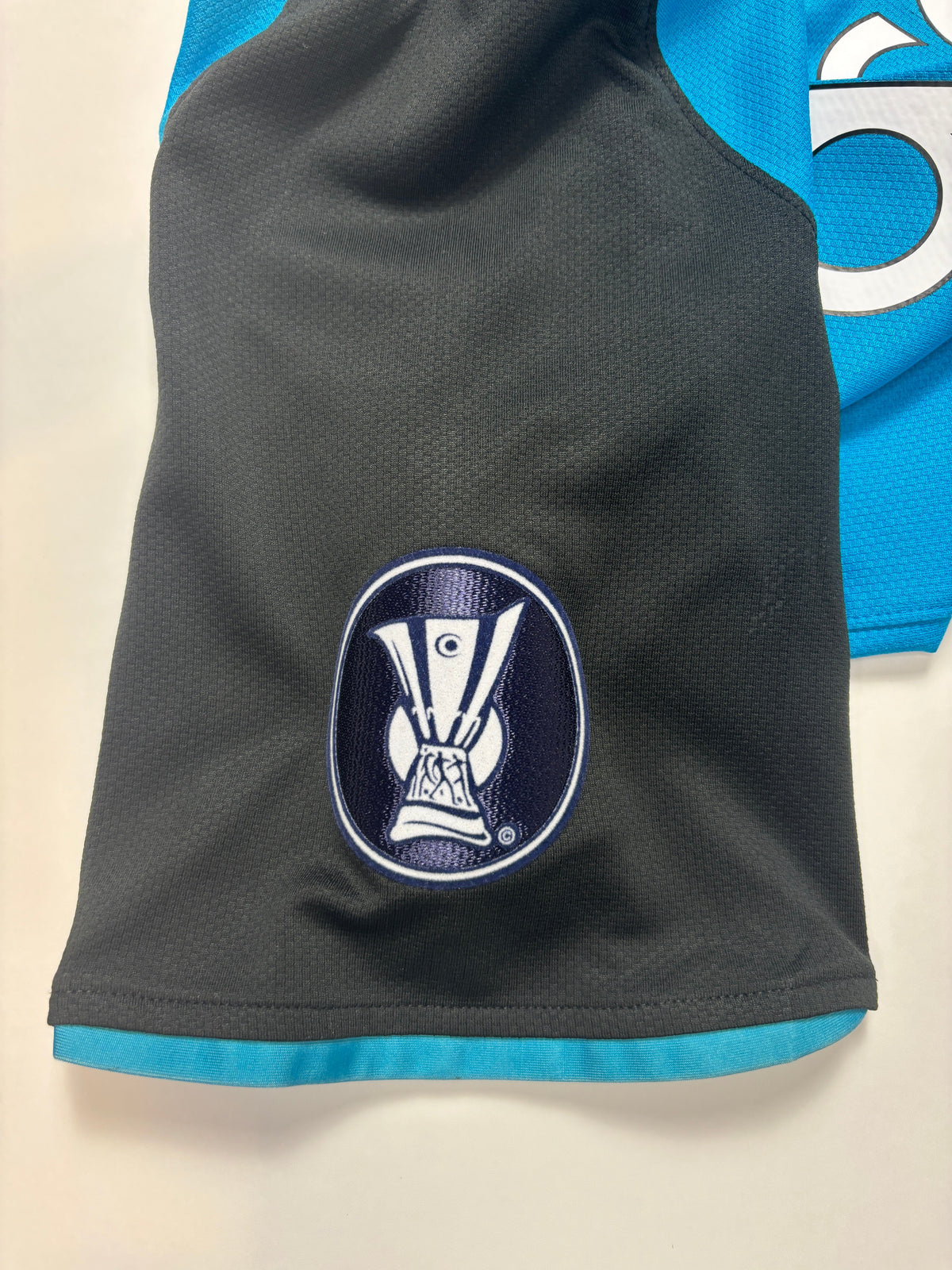 Aston Villa Away Shirt 2008/09 (L) Barry 6