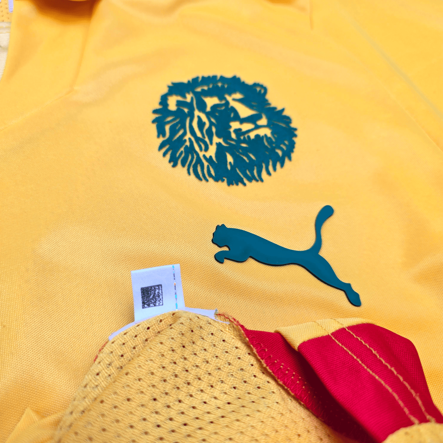2008/10 Cameroon Away Football Shirt (M) Puma