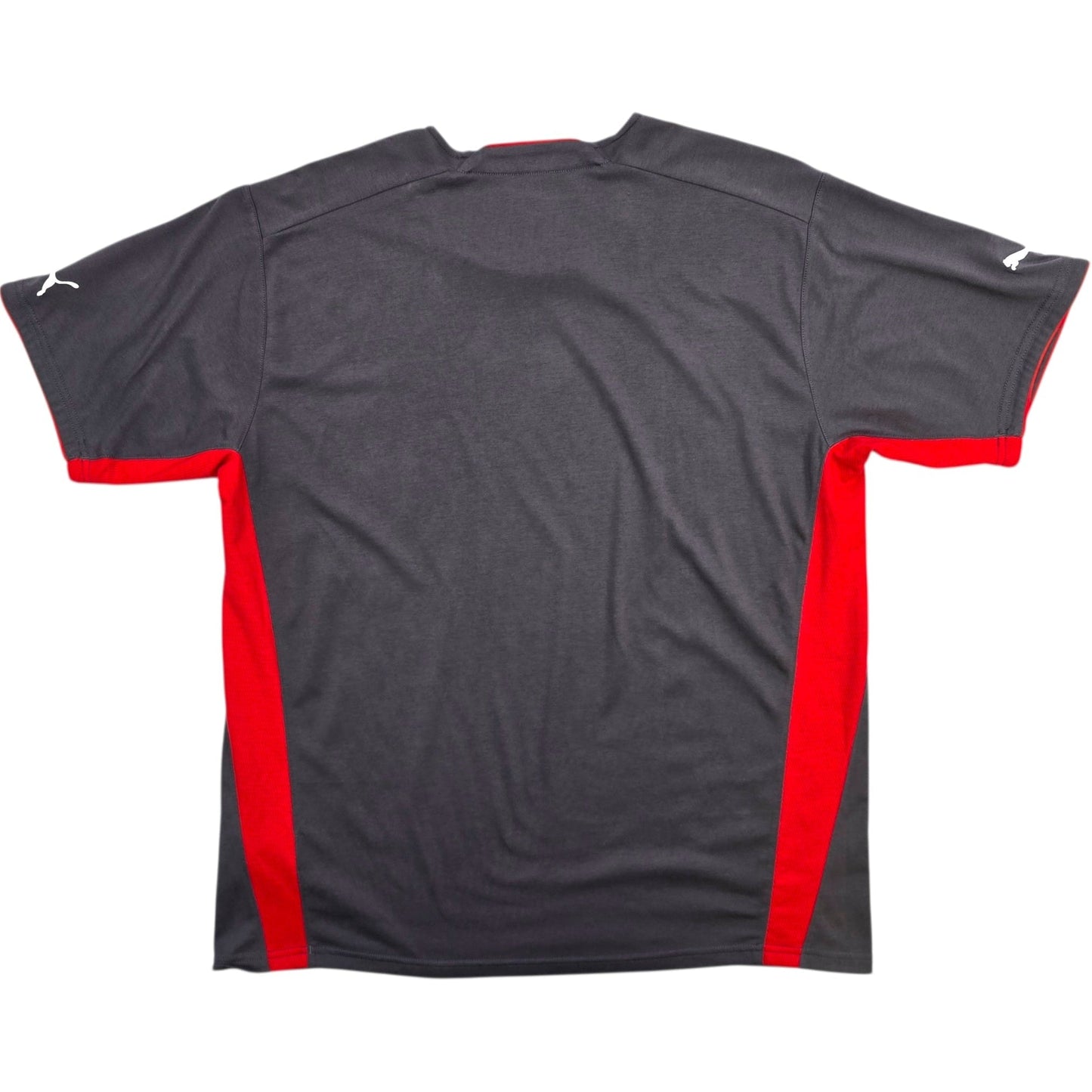 2008/10 Switzerland Training Shirt (XL) Puma