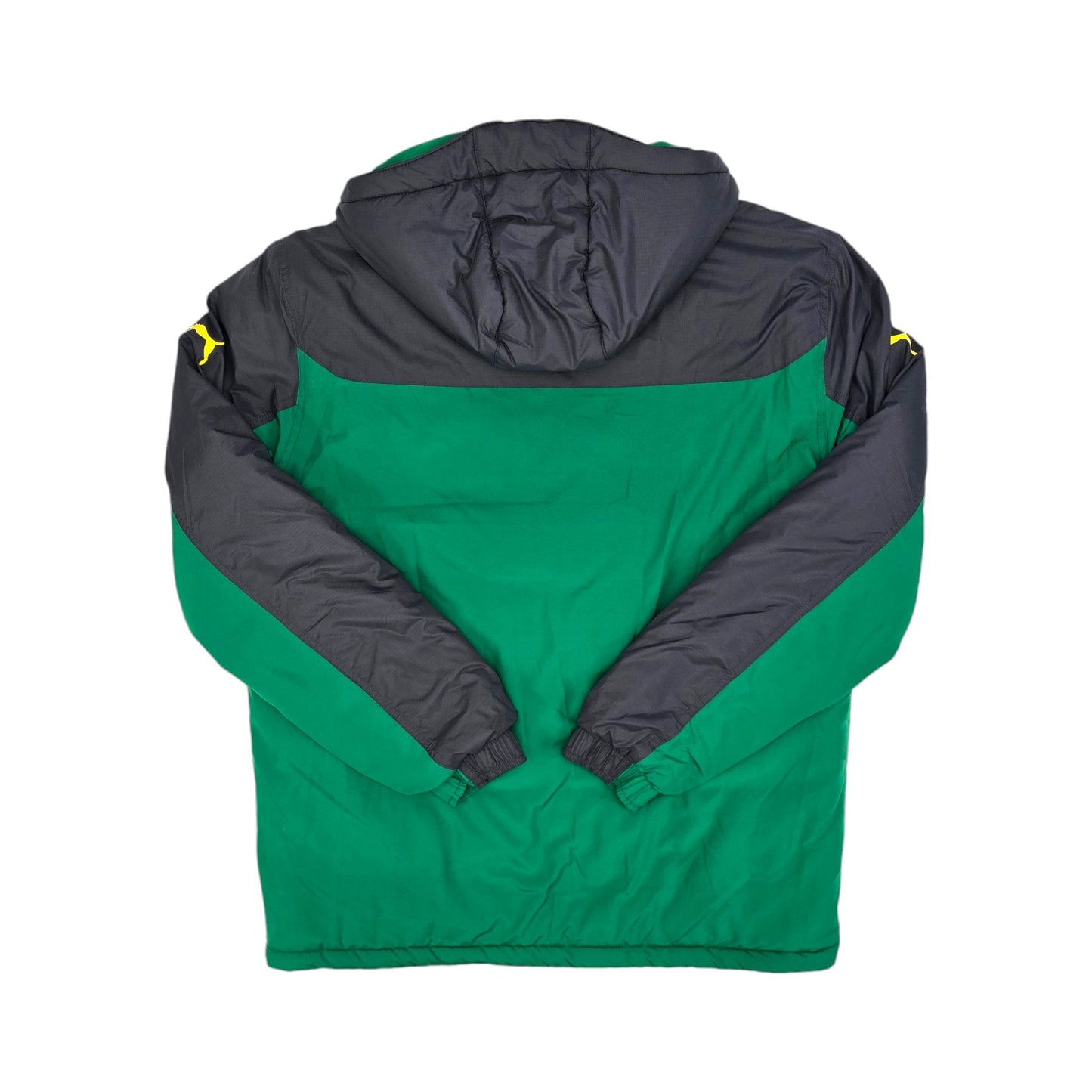 2018/19 Cameroon Bench Jacket (L) Puma
