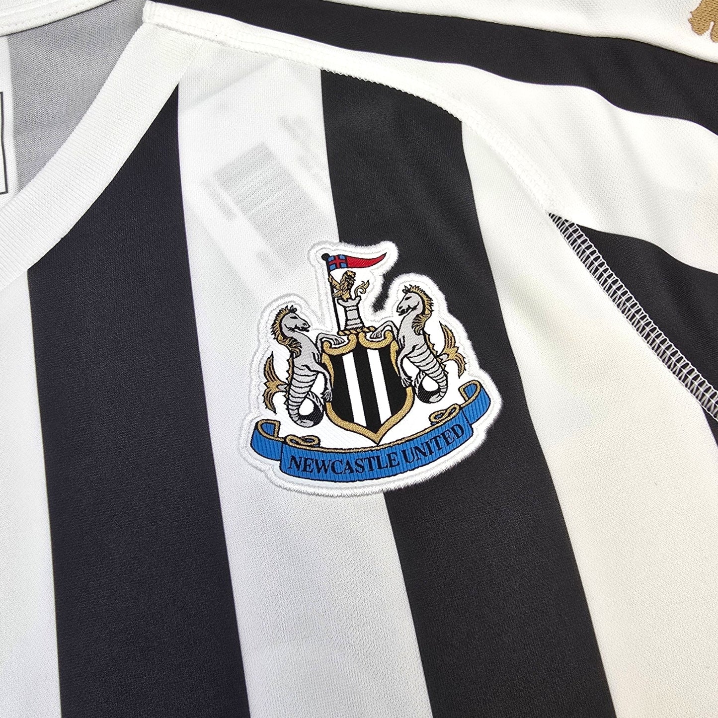 2018/19 Newcastle United Home Football Shirt (M) Puma #24 Almiron