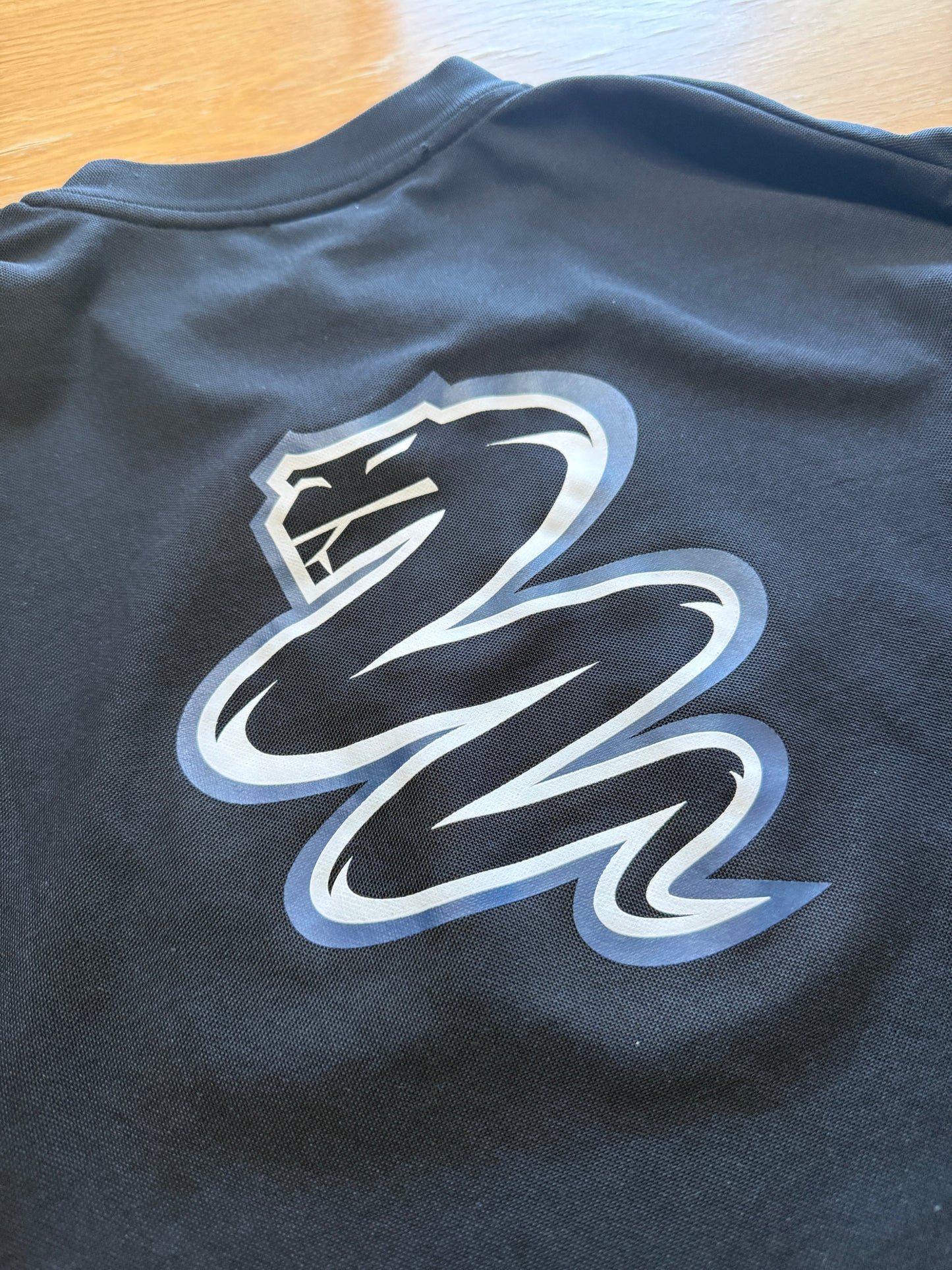 Inter Milan 2000/01 Training (XL)