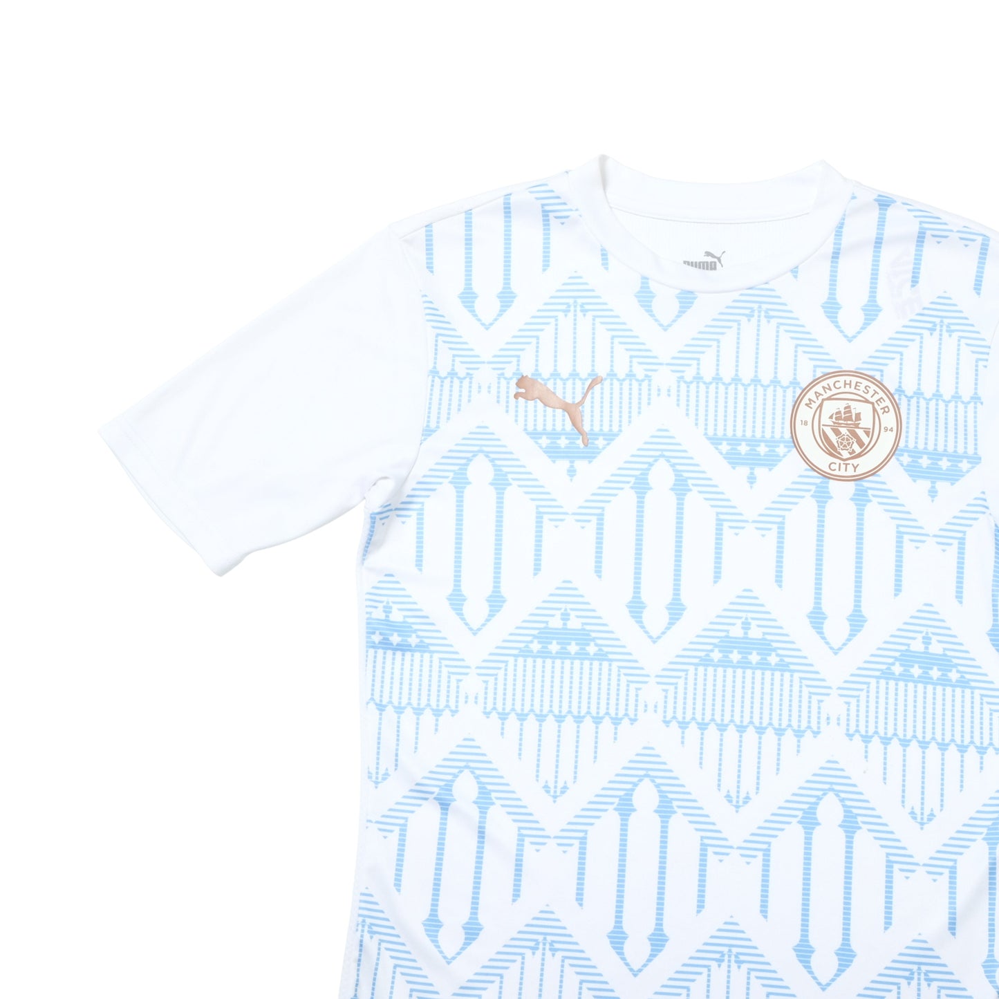 2020/21 Manchester City Pre-Match Shirt Puma (XS)