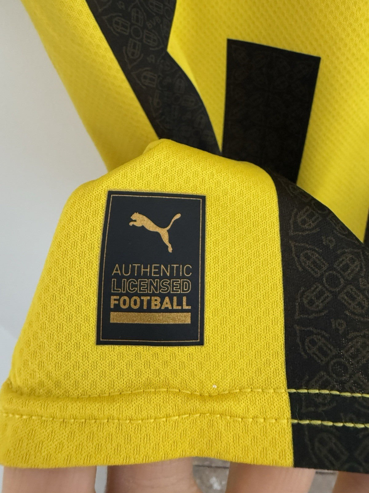 Borussia Dortmund Haller #9 2022/23 Small Home Excellent Condition 765883-01