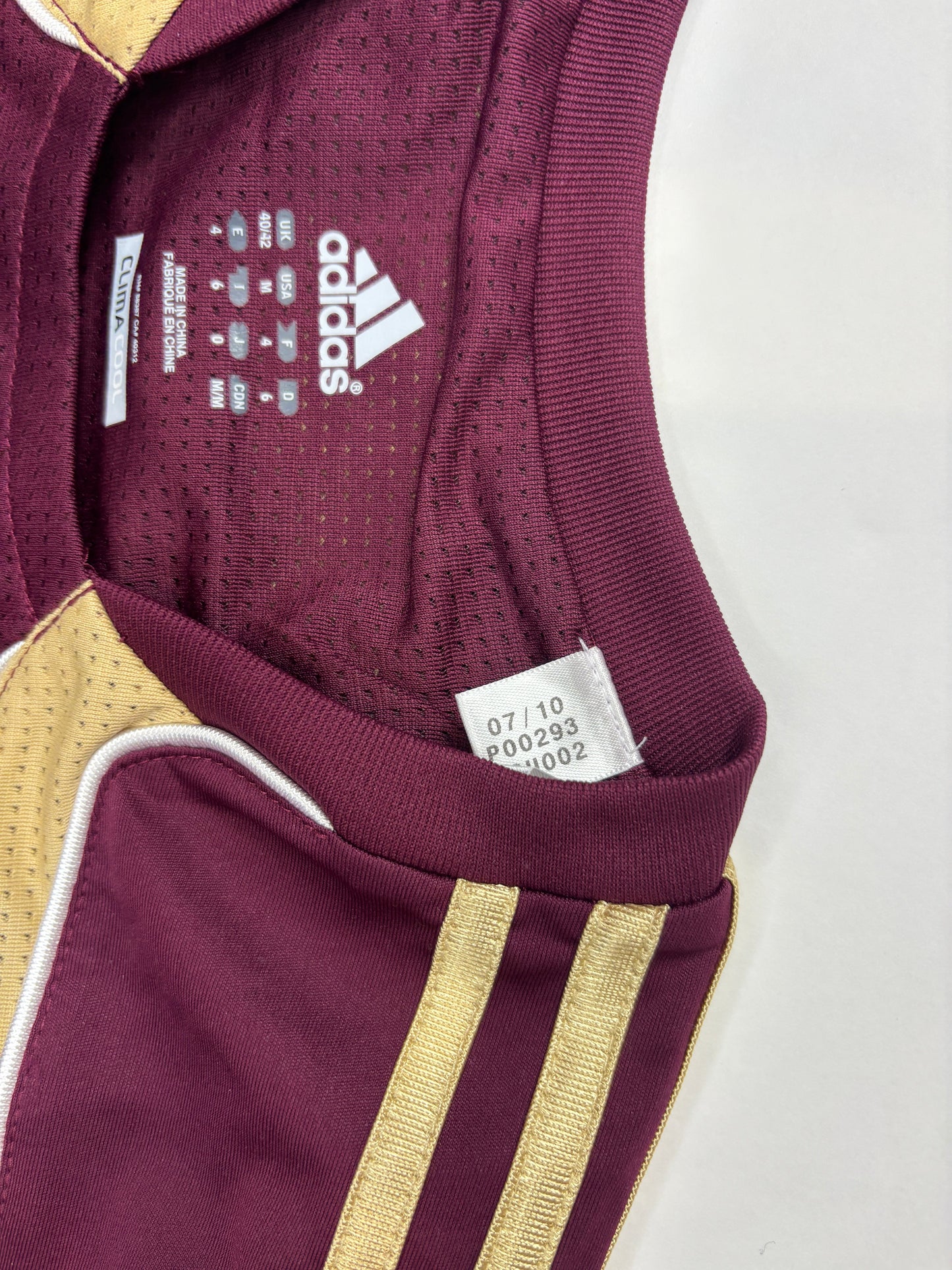 Lyon Training Shirt 2010/11 (L)