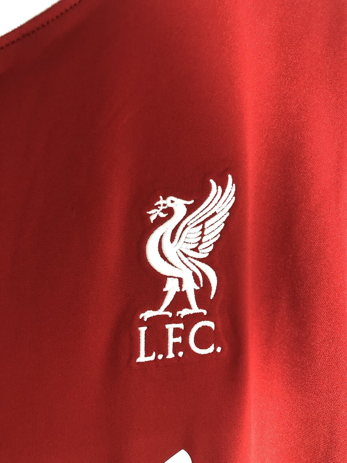 Liverpool Virgil #4 2020/21 Large Home Shirt Nike Excellent Condition CZ2636-687