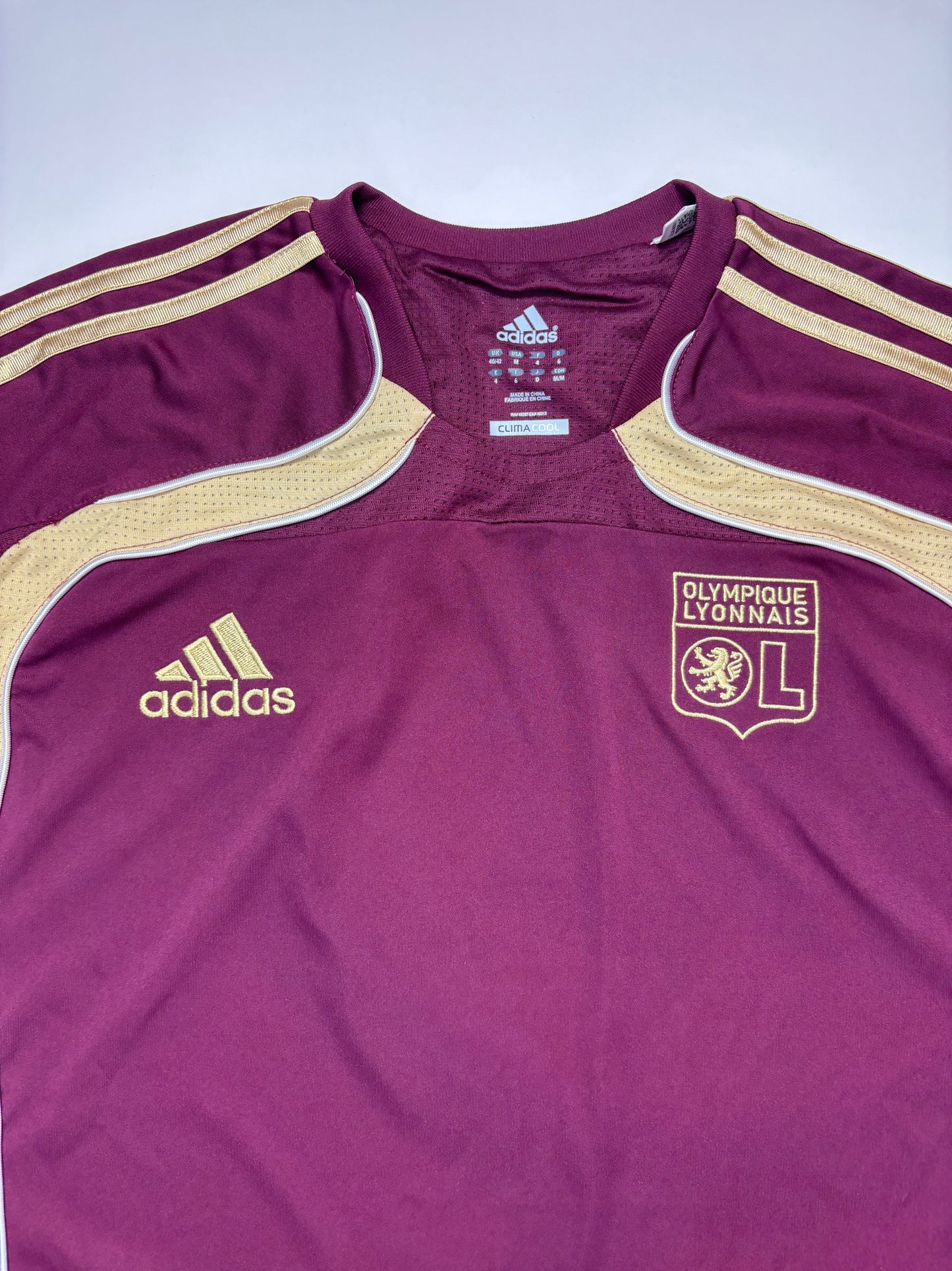 Lyon Training Shirt 2010/11 (L)