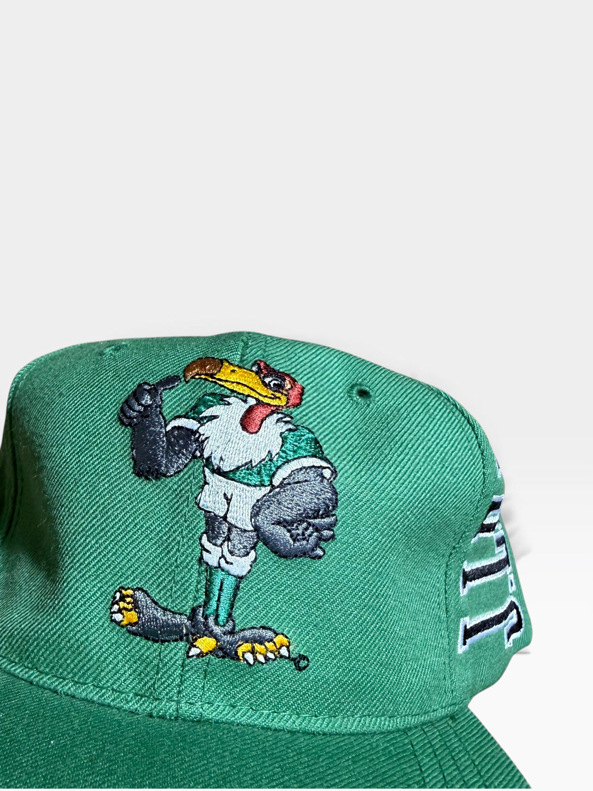 Tokyo Verdy 90s Cap BNWT