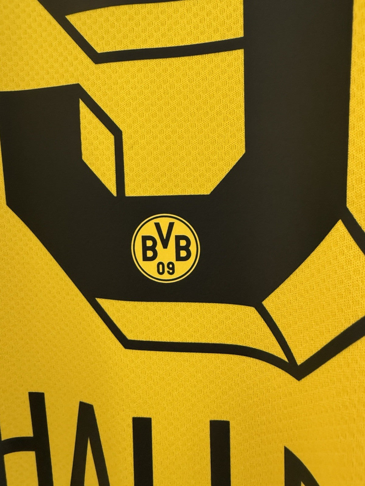 Borussia Dortmund Haller #9 2022/23 Small Home Excellent Condition 765883-01