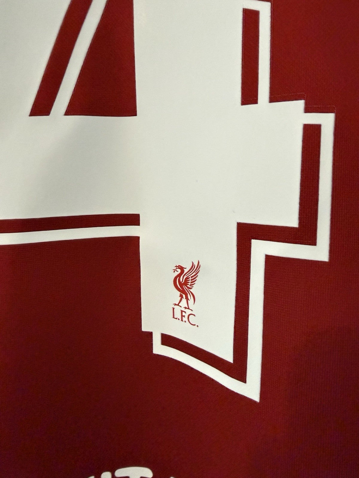 Liverpool Virgil #4 Small 2020/21 Home Shirt BNWT CZ2636-687