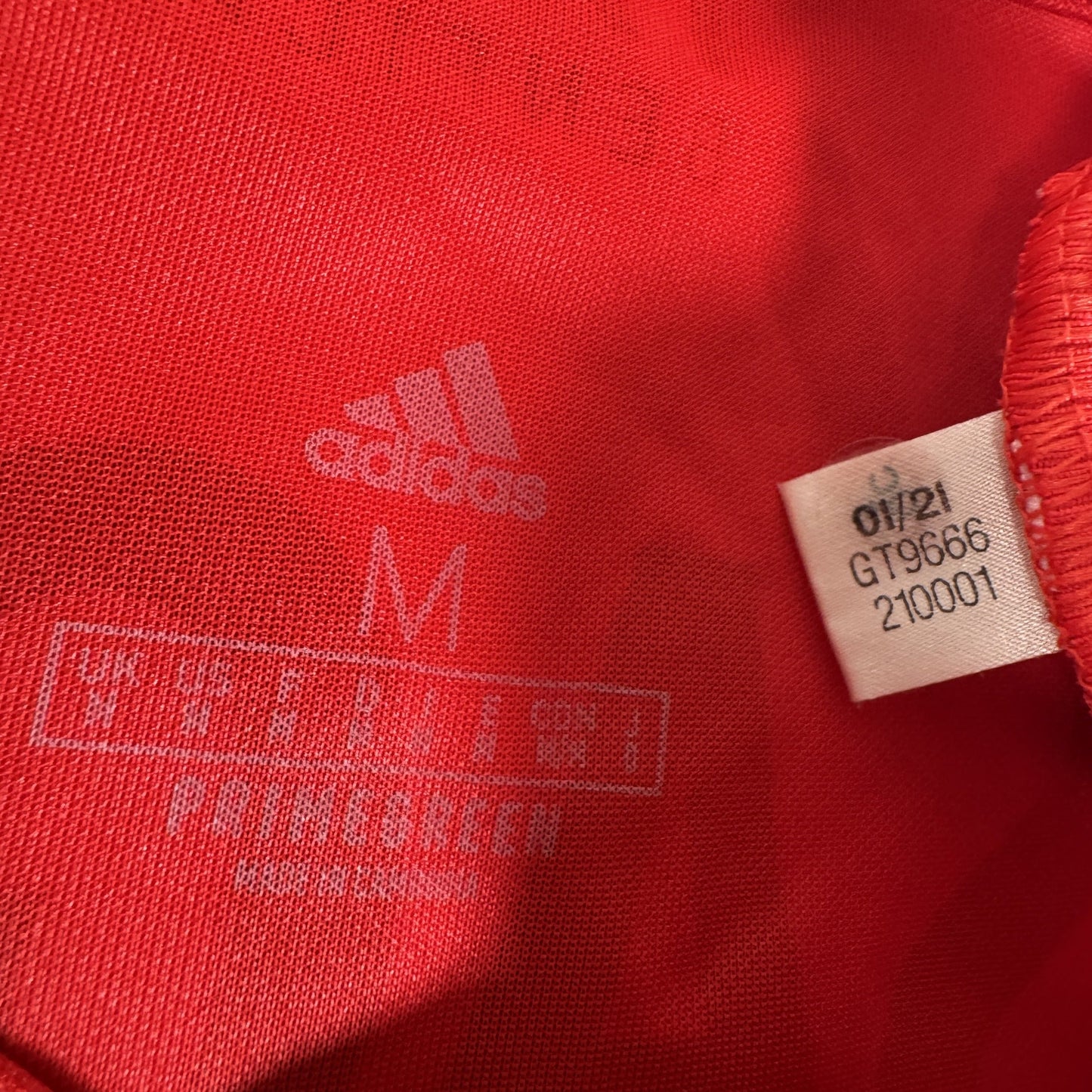 Benfica 2021/2022 Home Football Shirt Medium