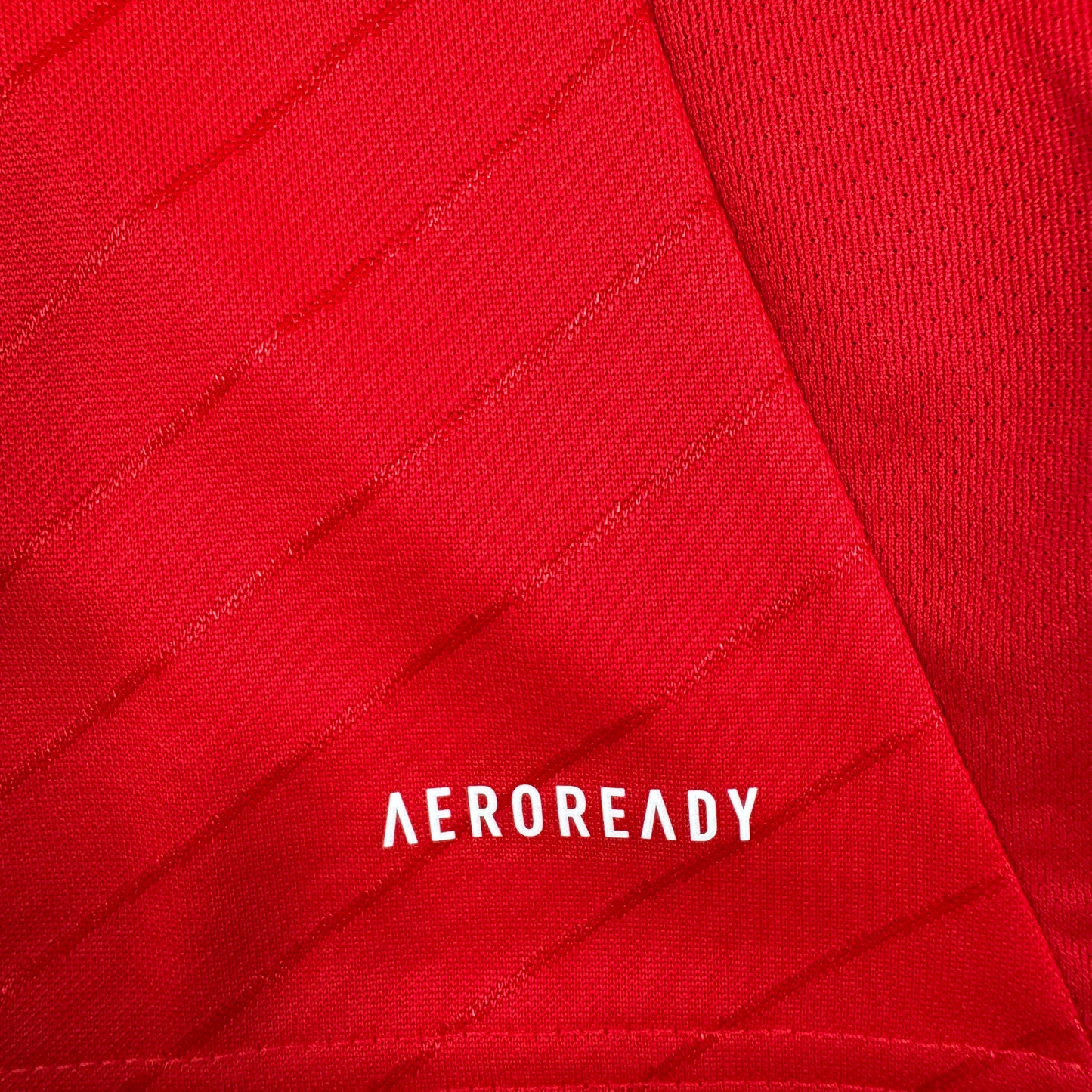 Benfica 2024/2025 Home Football Shirt Large BNWT