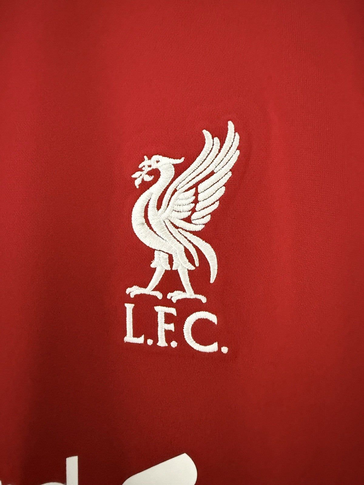 Liverpool Virgil #4 2020/21 Medium Home Shirt Nike BNWT CZ2636-687
