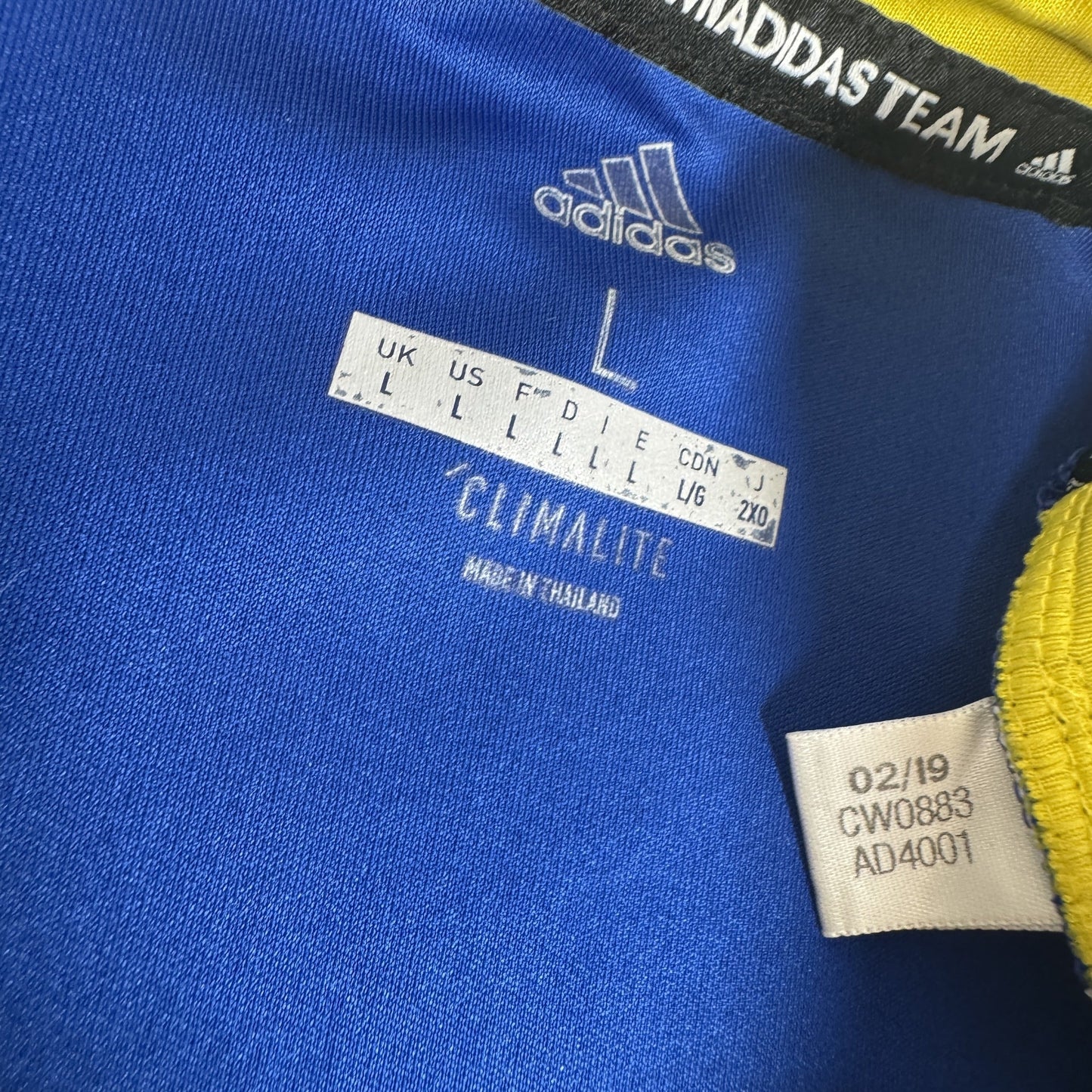 Birmingham City 2019/2020 Home Football Shirt Large