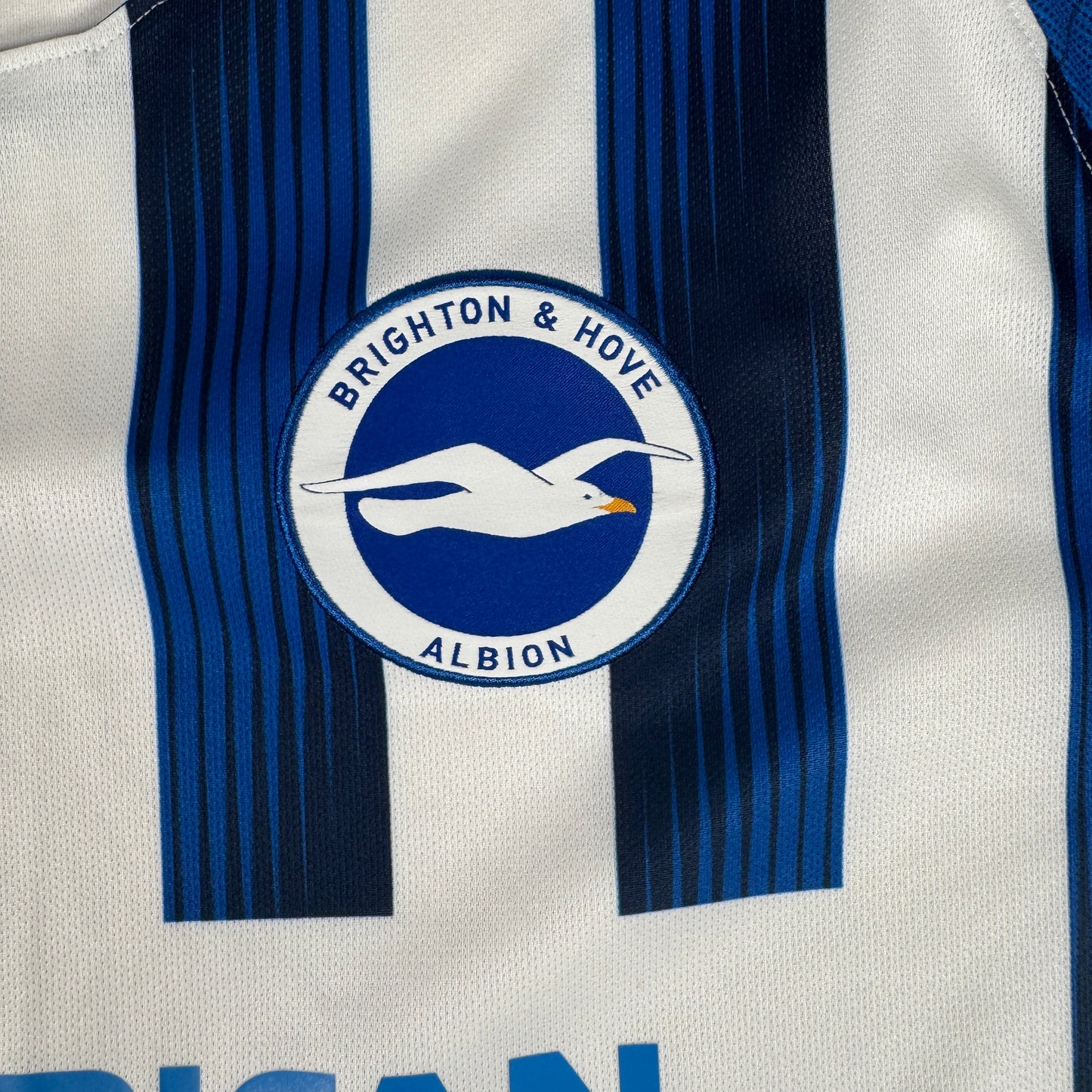 Brighton & Hove Albion 2019/2020 Home Football Shirt XL