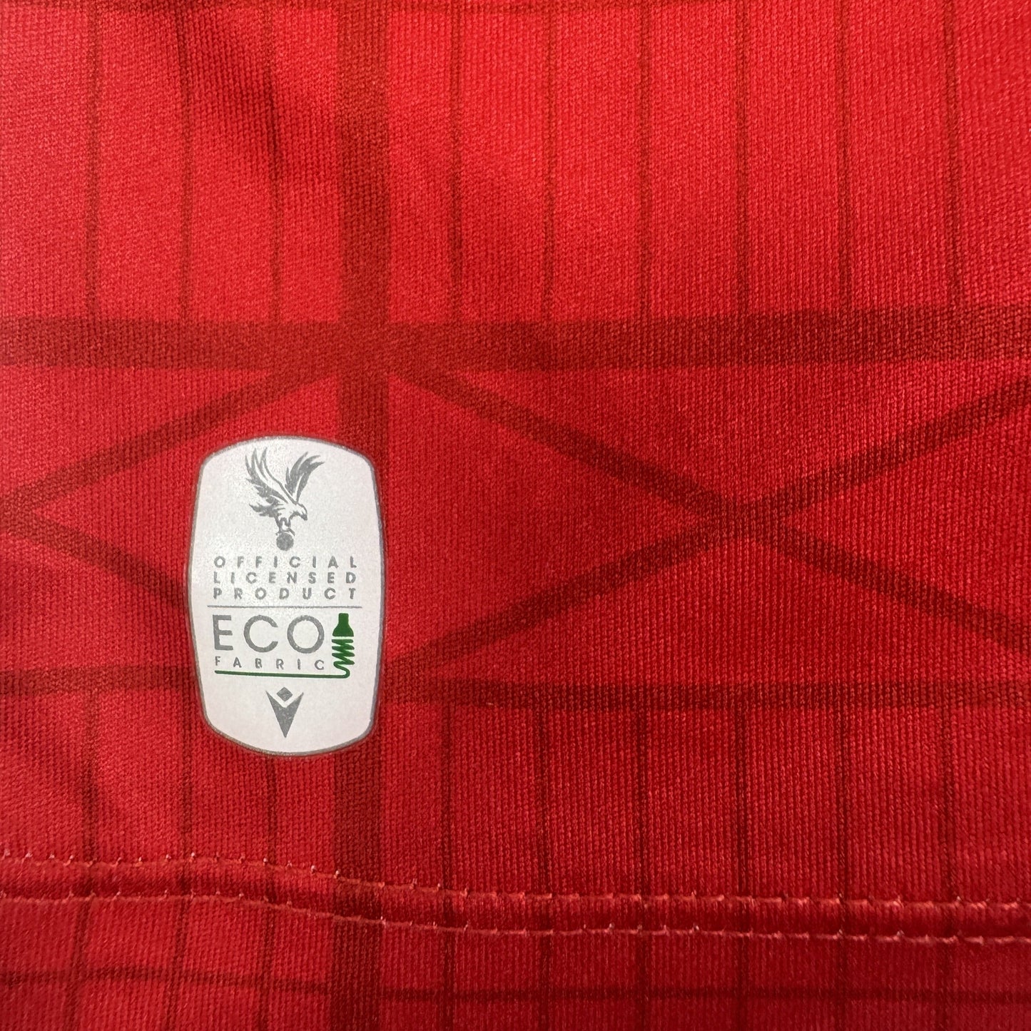 Eze 10 Crystal Palace 2023/2024 Home Football Shirt Large