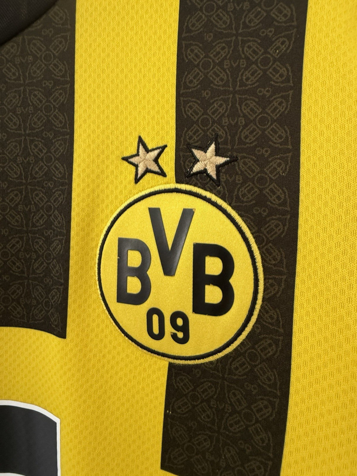 Borussia Dortmund Haller #9 2022/23 Small Home Excellent Condition 765883-01