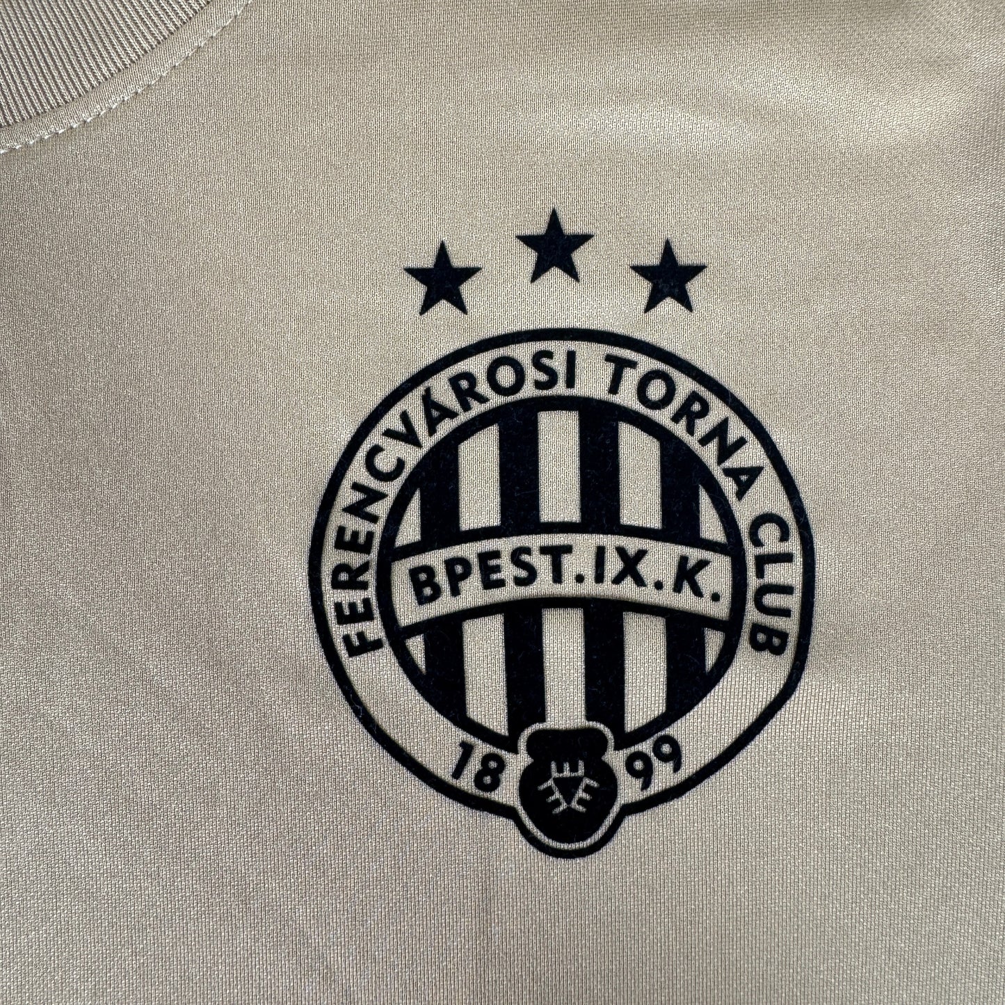 Ferencvaros 2021/2022/2023 Third Football Shirt Medium
