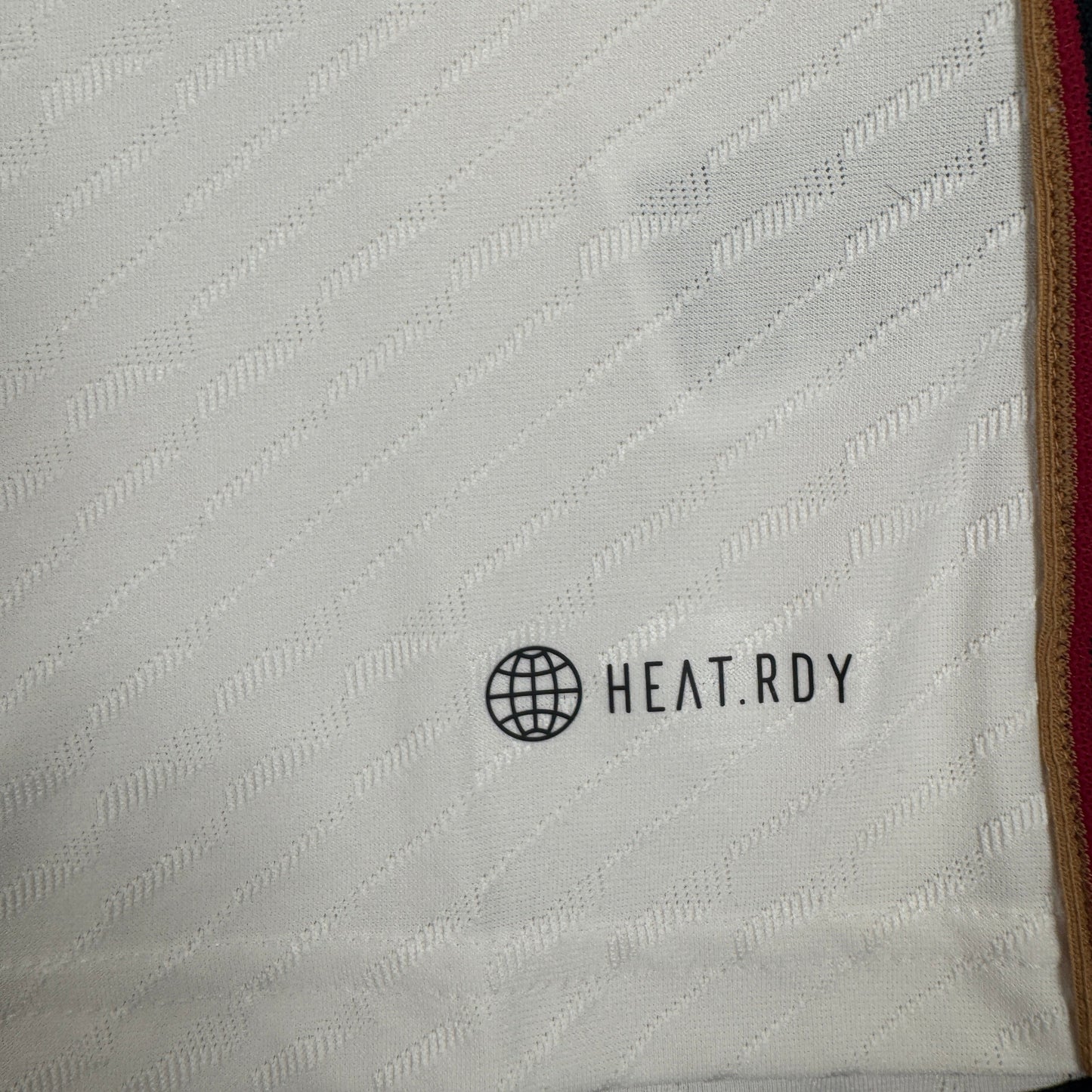 Germany 2022/2023/2024 Home Heat.RDY Football Shirt Small BNWT