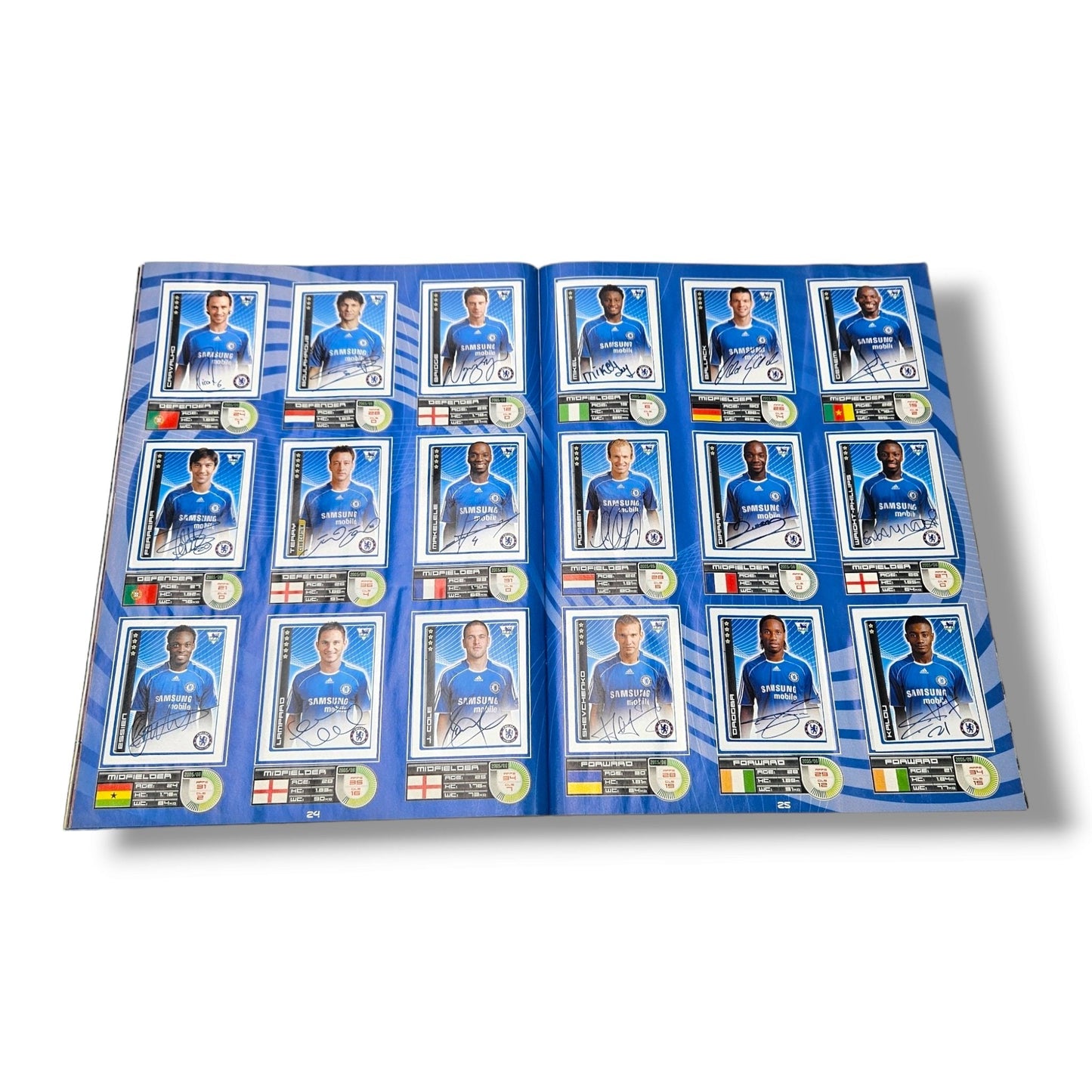 Merlin's FA Premier League Sticker Collection 2007 (85% Complete)