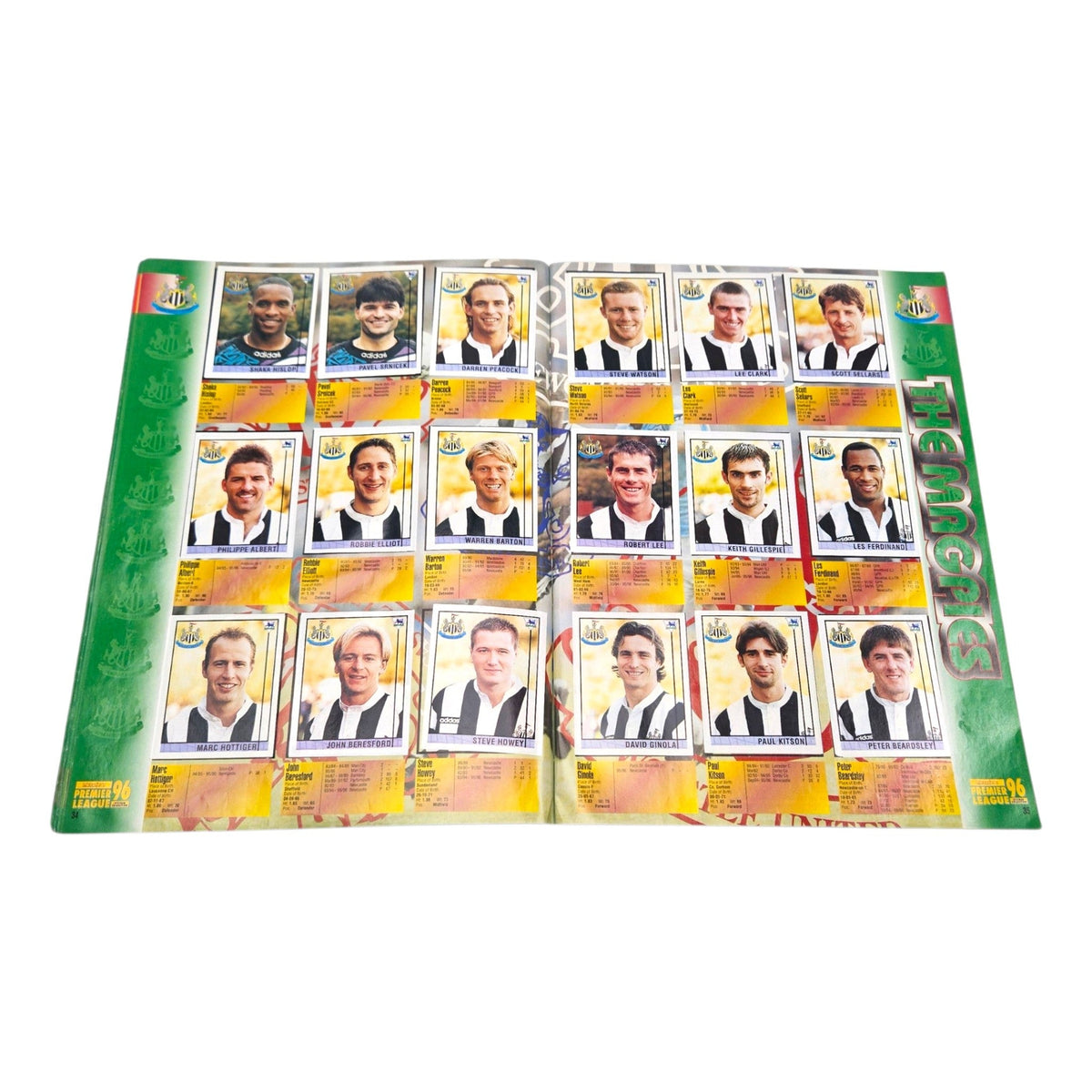 Merlin's Premier League Sticker Collection 1996 (100% Complete)