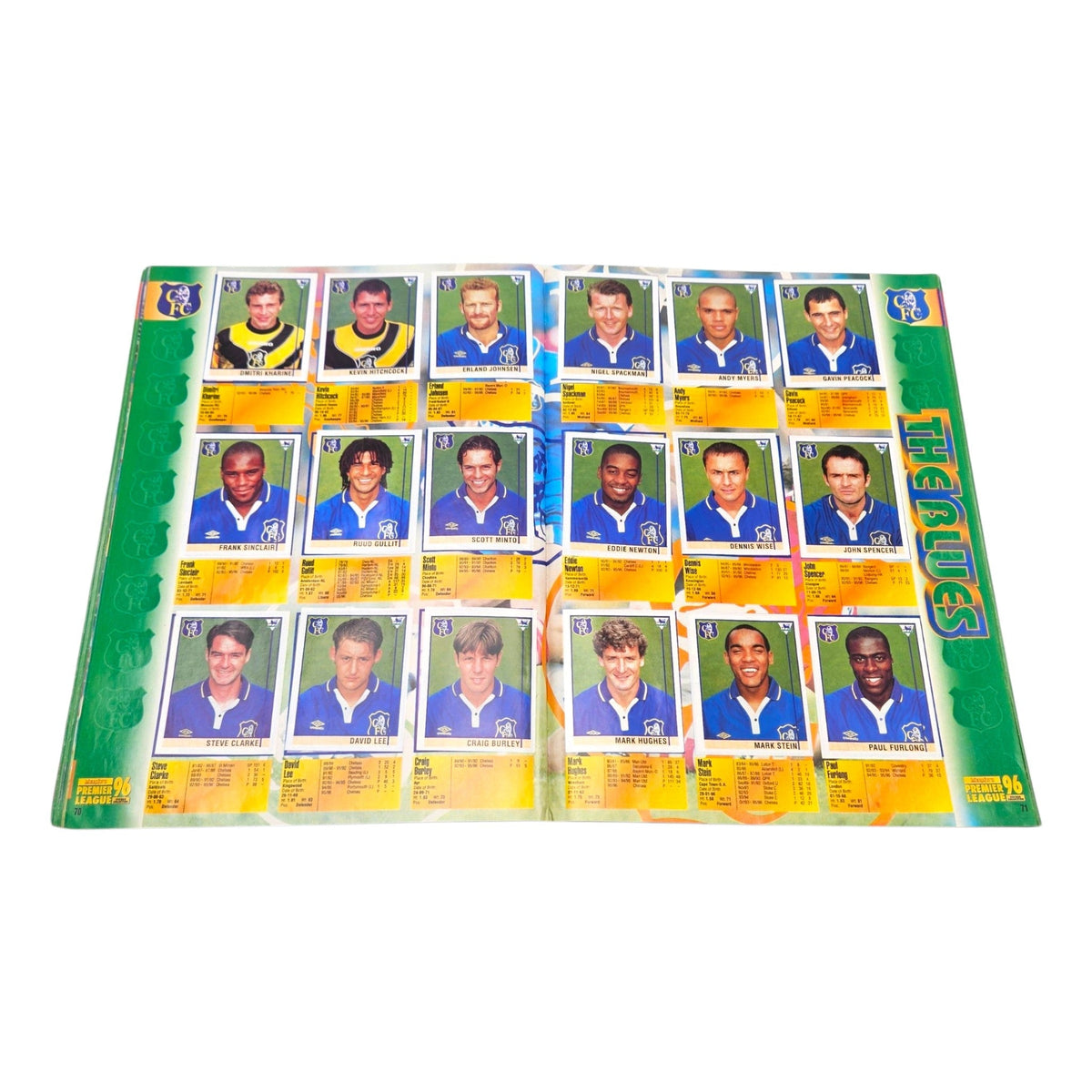 Merlin's Premier League Sticker Collection 1996 (100% Complete)