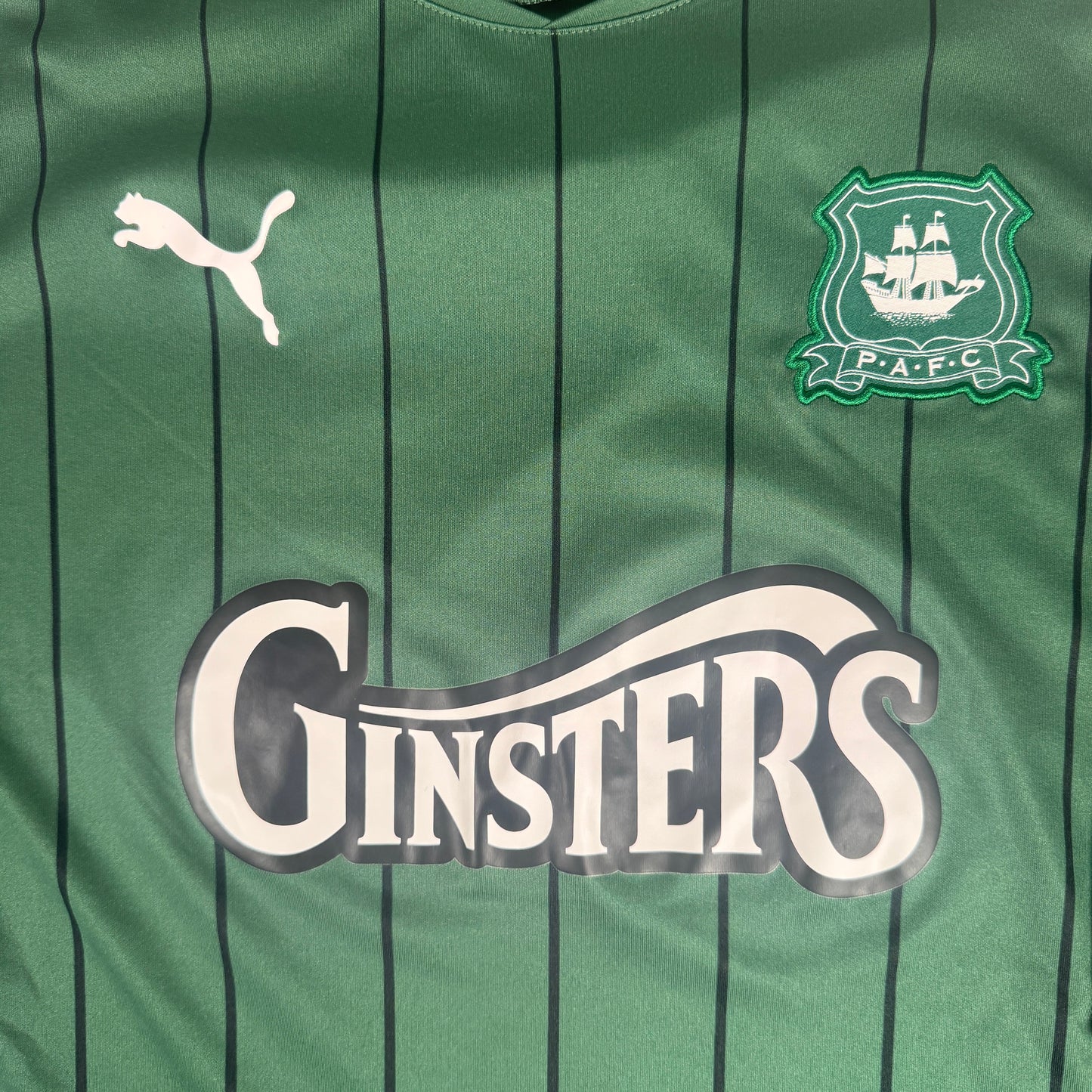 Plymouth Argyle 2021/2022 Home Football Shirt 3XL