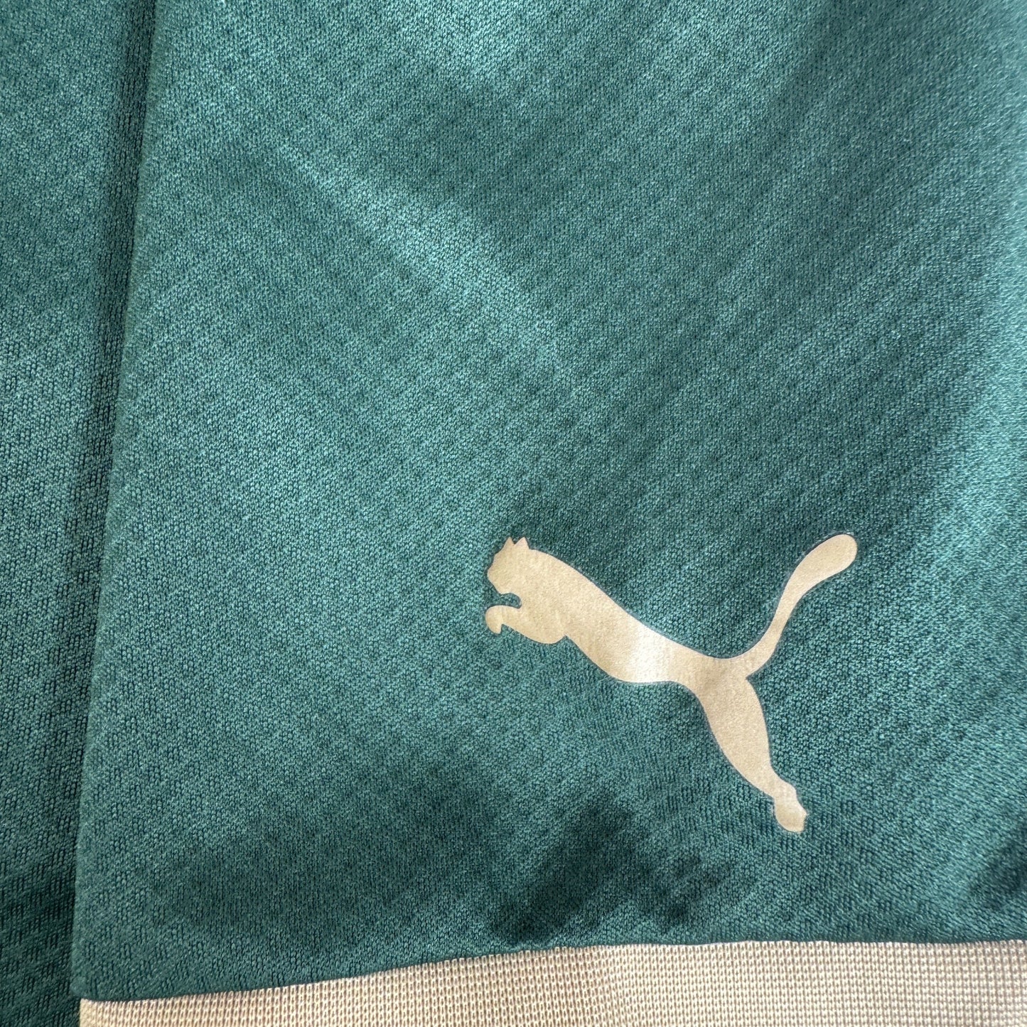 Plymouth Argyle 2023/2024 Home Football Shirt Medium