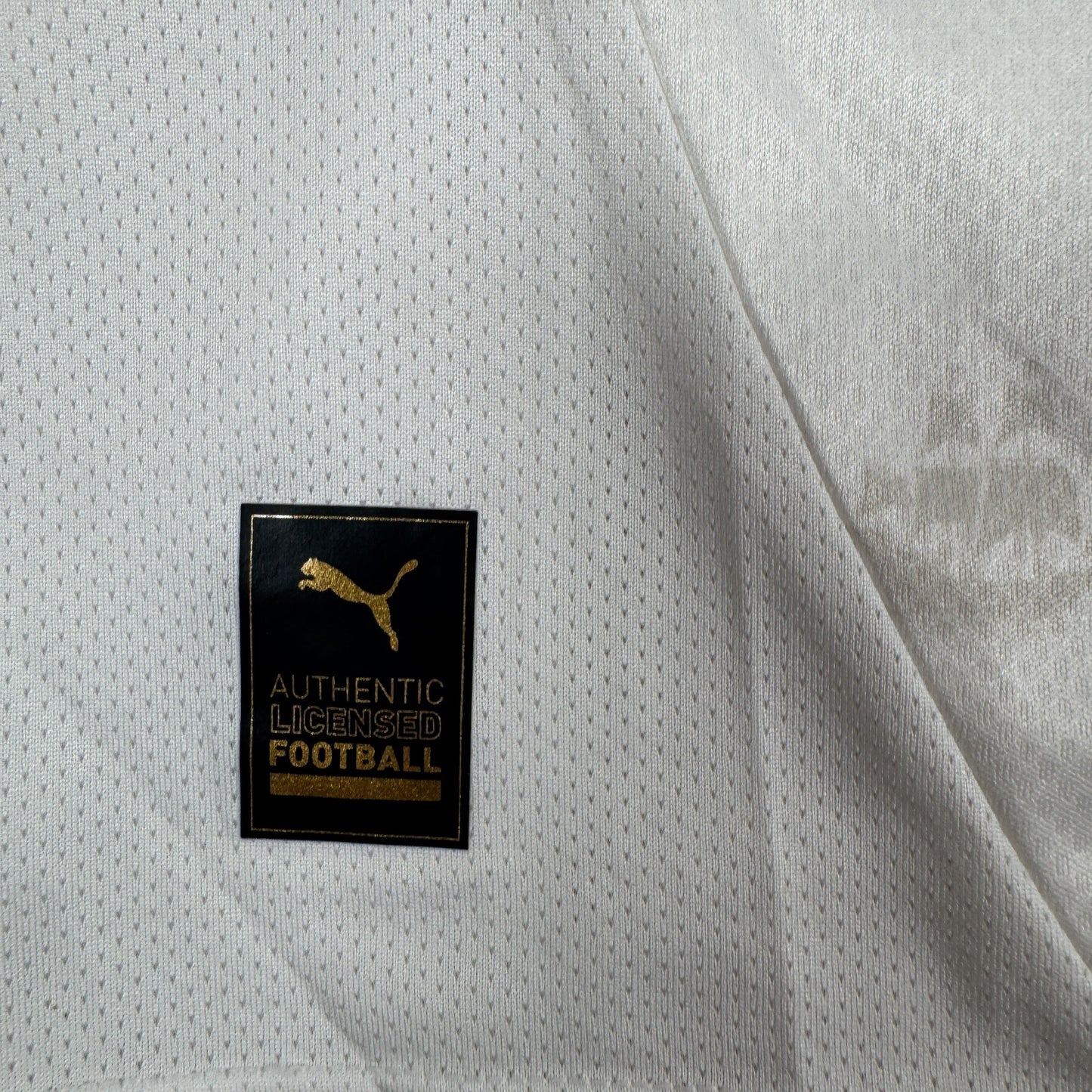 Plymouth Argyle 2024/2025 Away Football Shirt Medium
