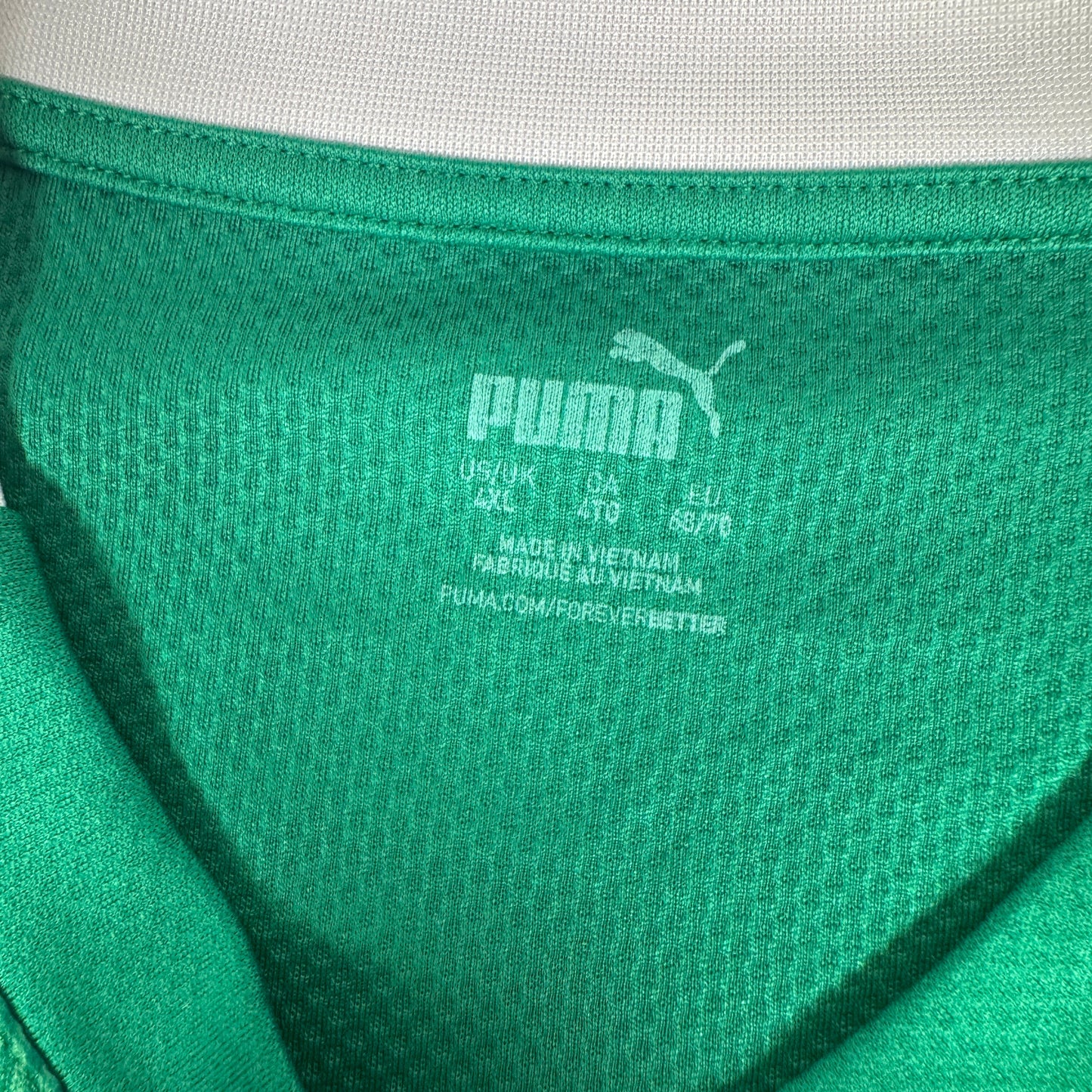 Plymouth Argyle 2024/2025 Home Football Shirt 4XL