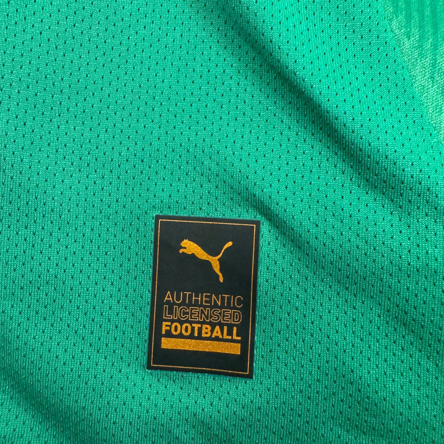 Plymouth Argyle 2024/2025 Home Football Shirt 4XL