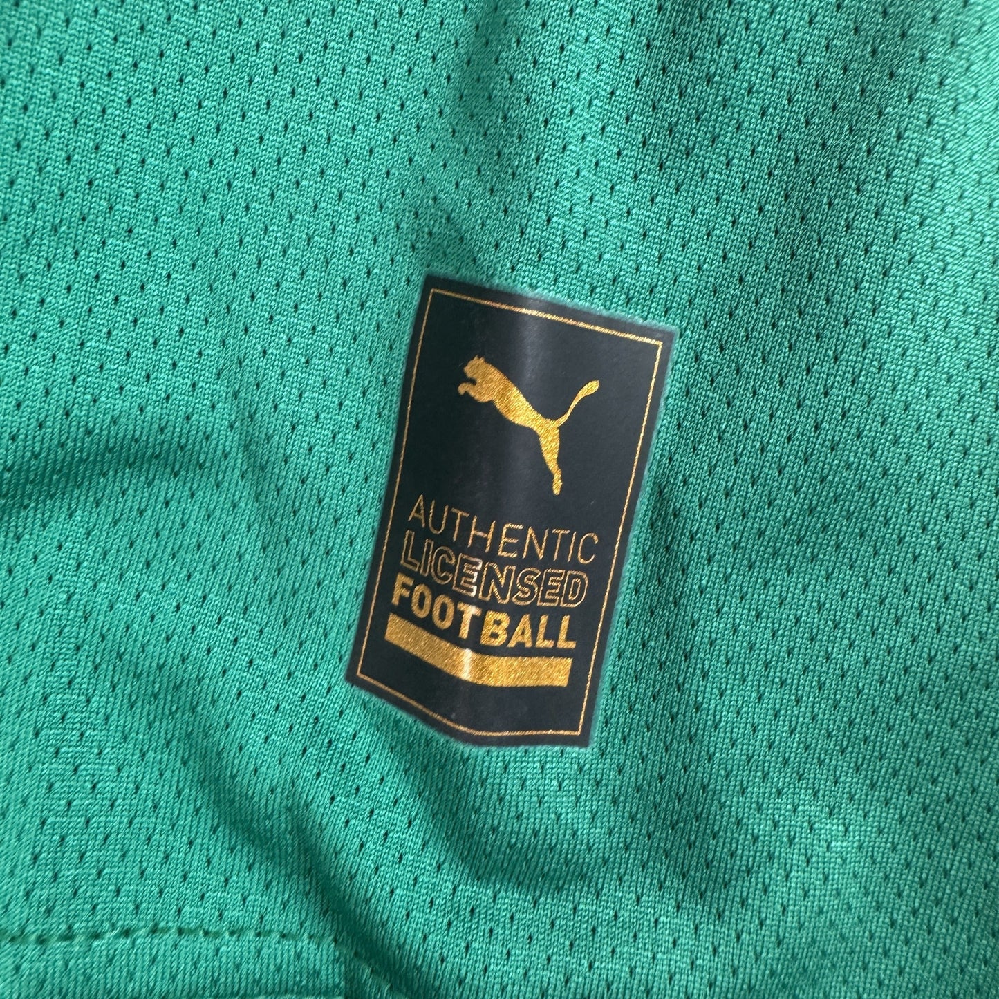 Plymouth Argyle 2024/2025 Home Football Shirt Large BNWT