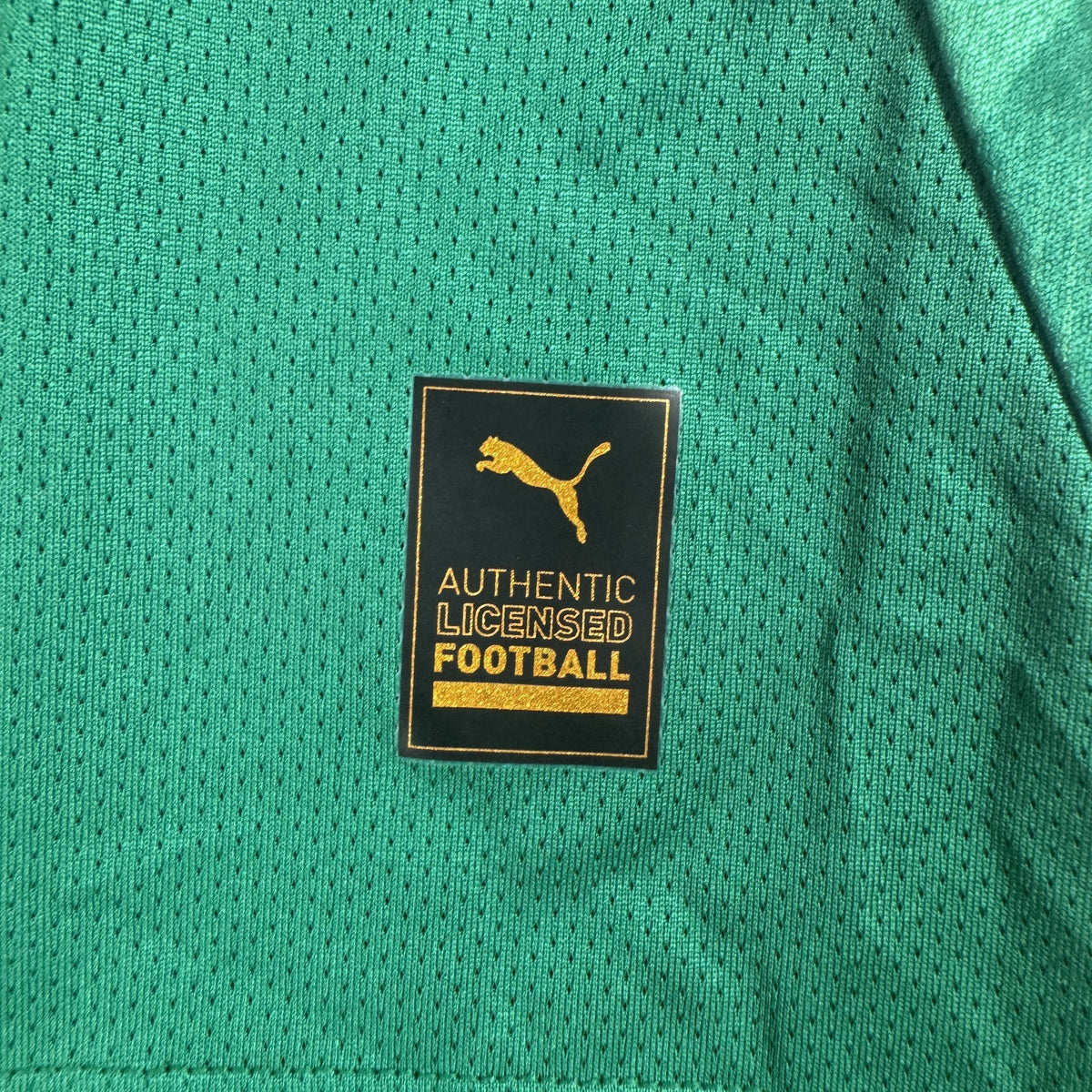 Plymouth Argyle 2024/2025 Home Football Shirt Medium BNWT