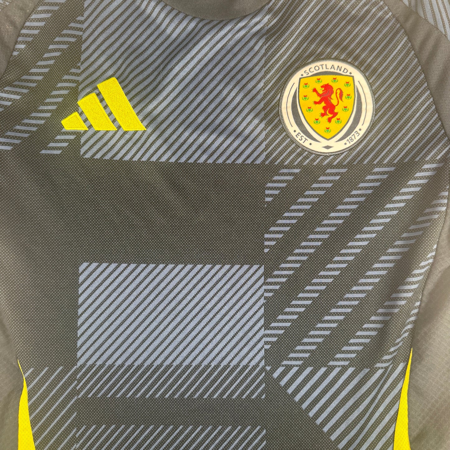 Scotland 2024/2025 Home Football Shirt Small