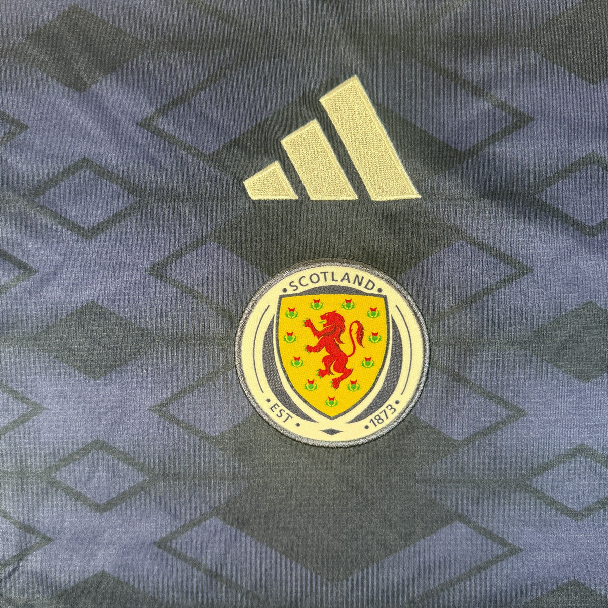 Scotland 2026/2027 Home Football Shirt Large