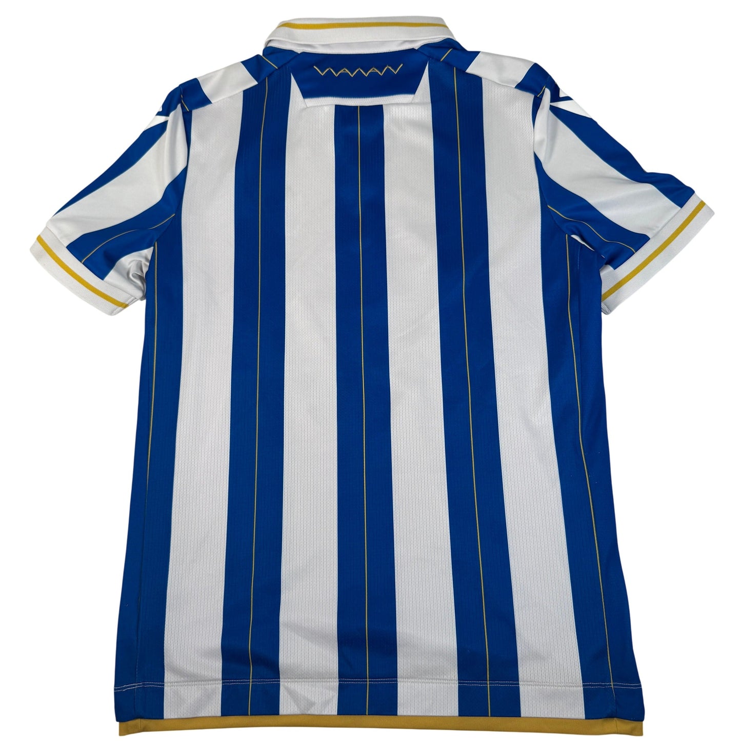 Sheffield Wednesday 2023/2024 Home Football Shirt Large