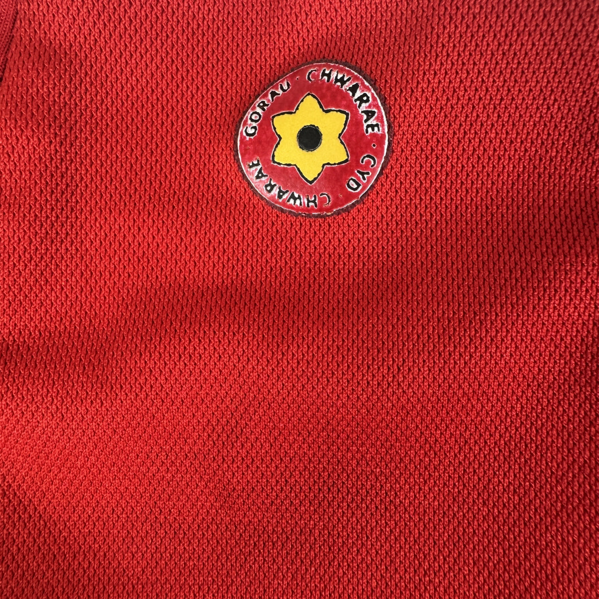 Wales 2022/2023/2024 Home Football Shirt XL