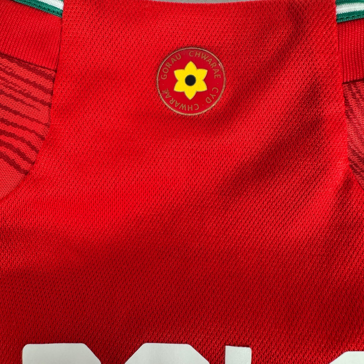 BALE 11 Wales 2022/2023/2024 Home Football Shirt Medium
