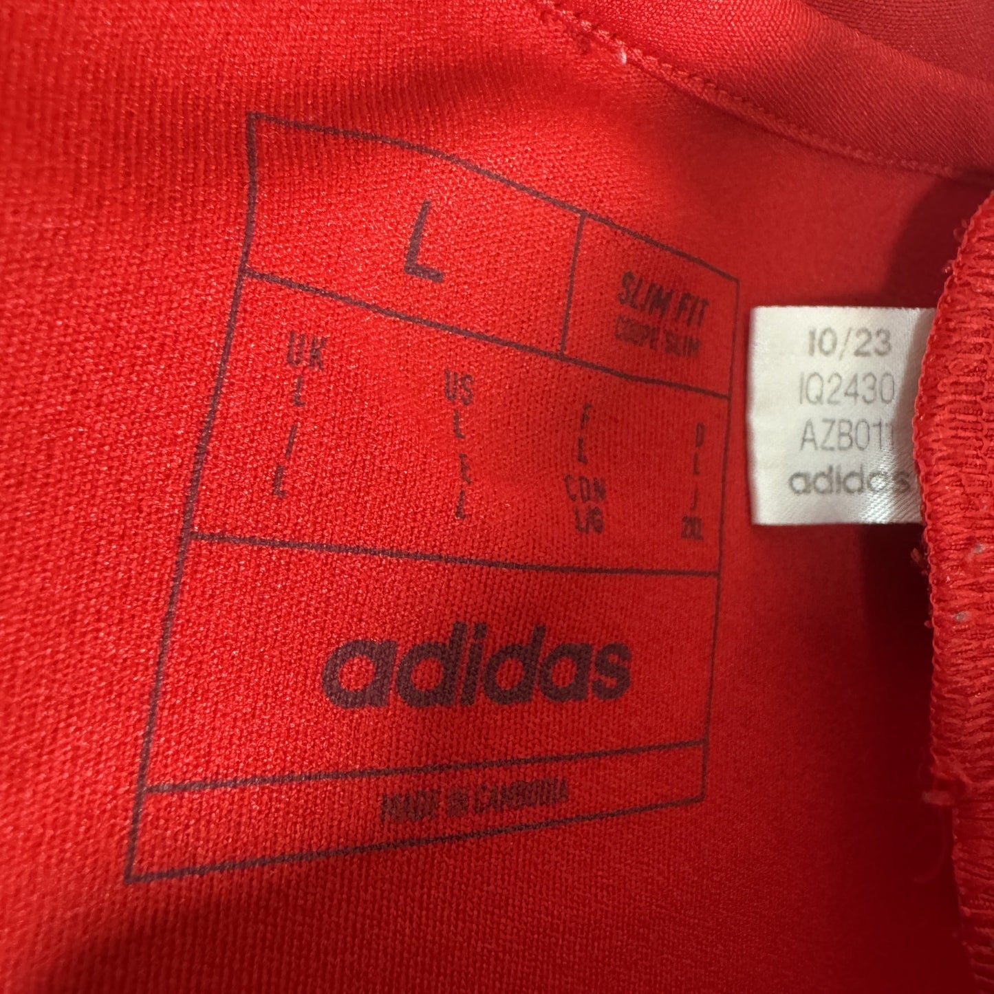 Wales 2024/2025/2026 Home Football Shirt Large