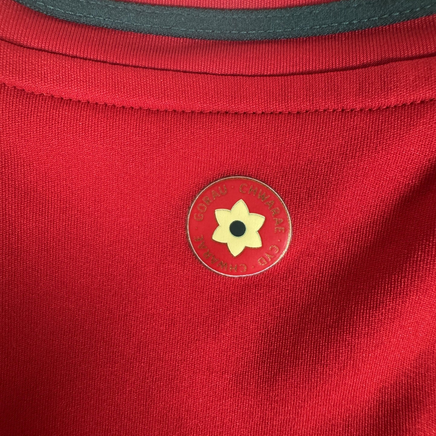 Wales 2024/2025/2026 Home Football Shirt Large