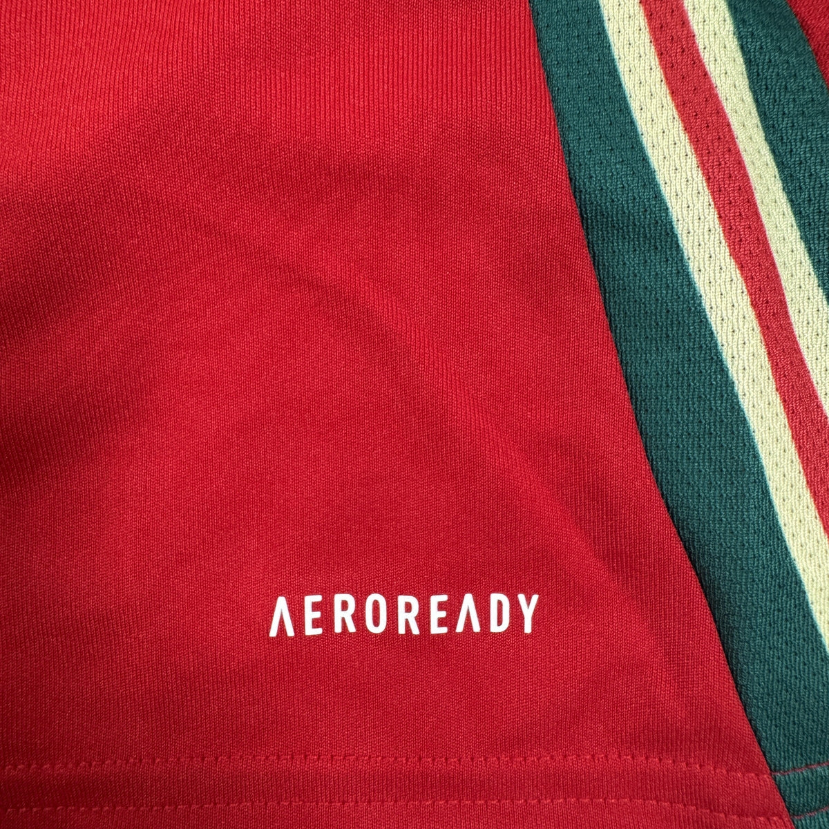 Wales 2024/2025/2026 Home Football Shirt Medium BNWT
