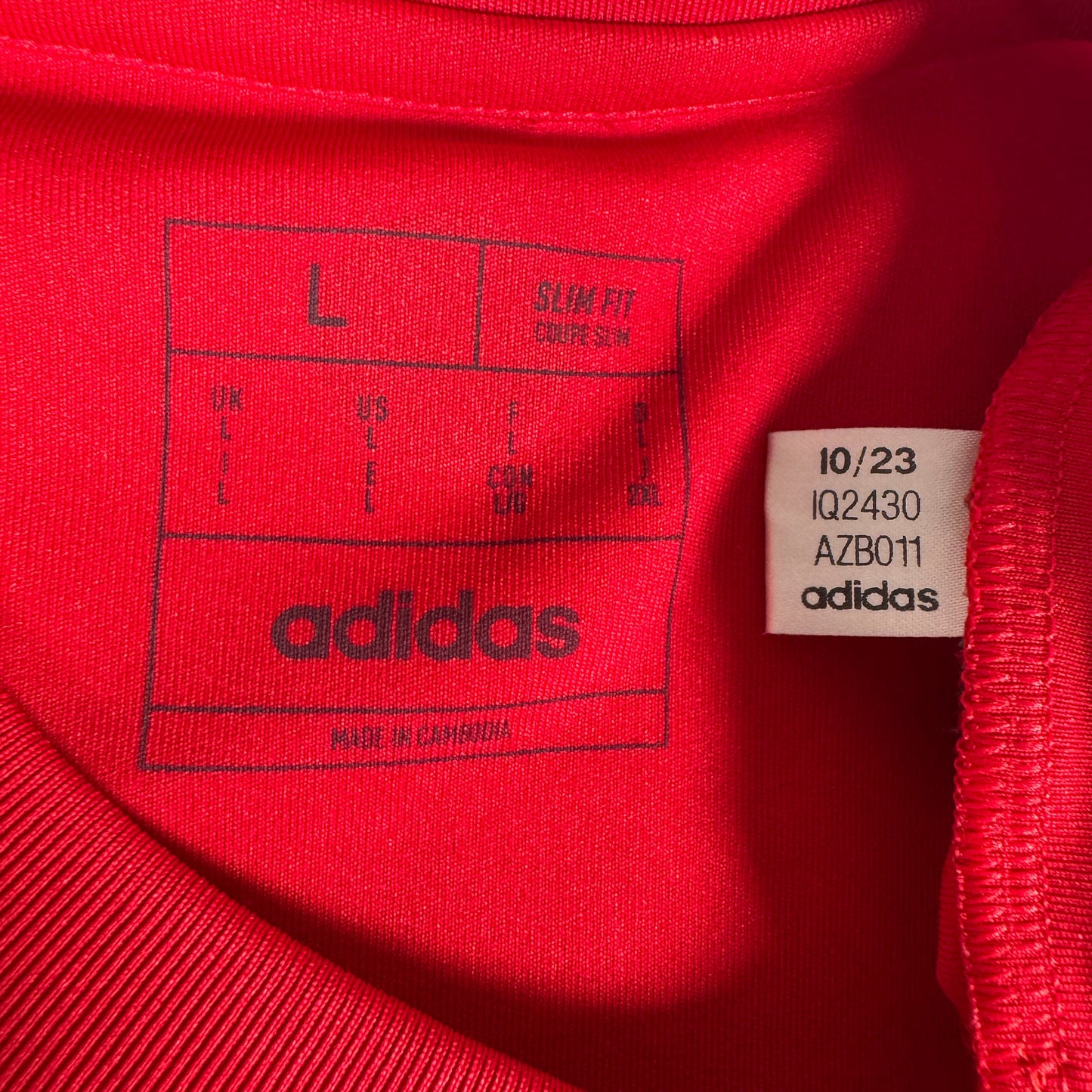 Wales 2024/2025 Home Football Shirt Large