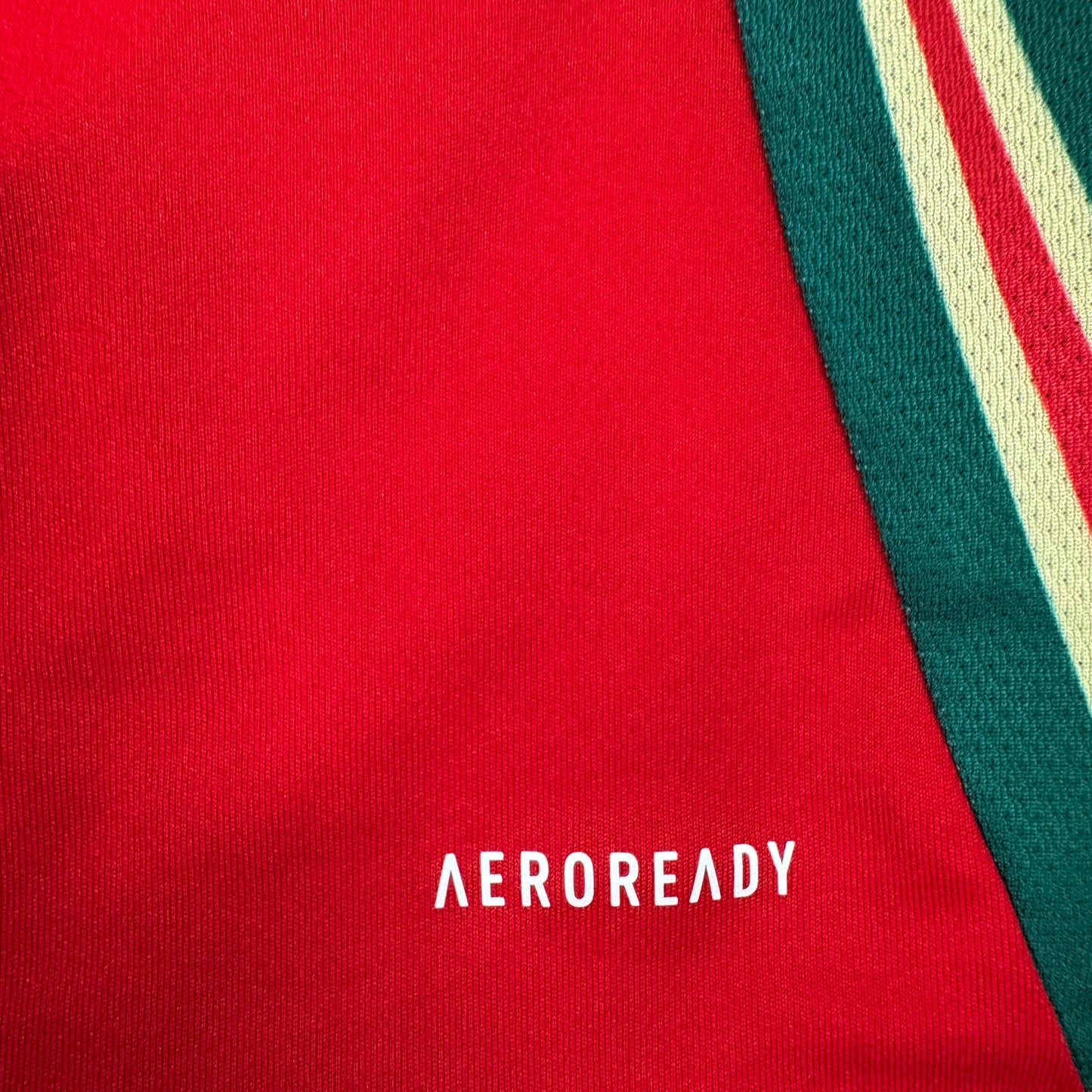 Wales 2024/2025/2026 Home Football Shirt Medium